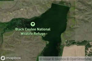 Black Coulee