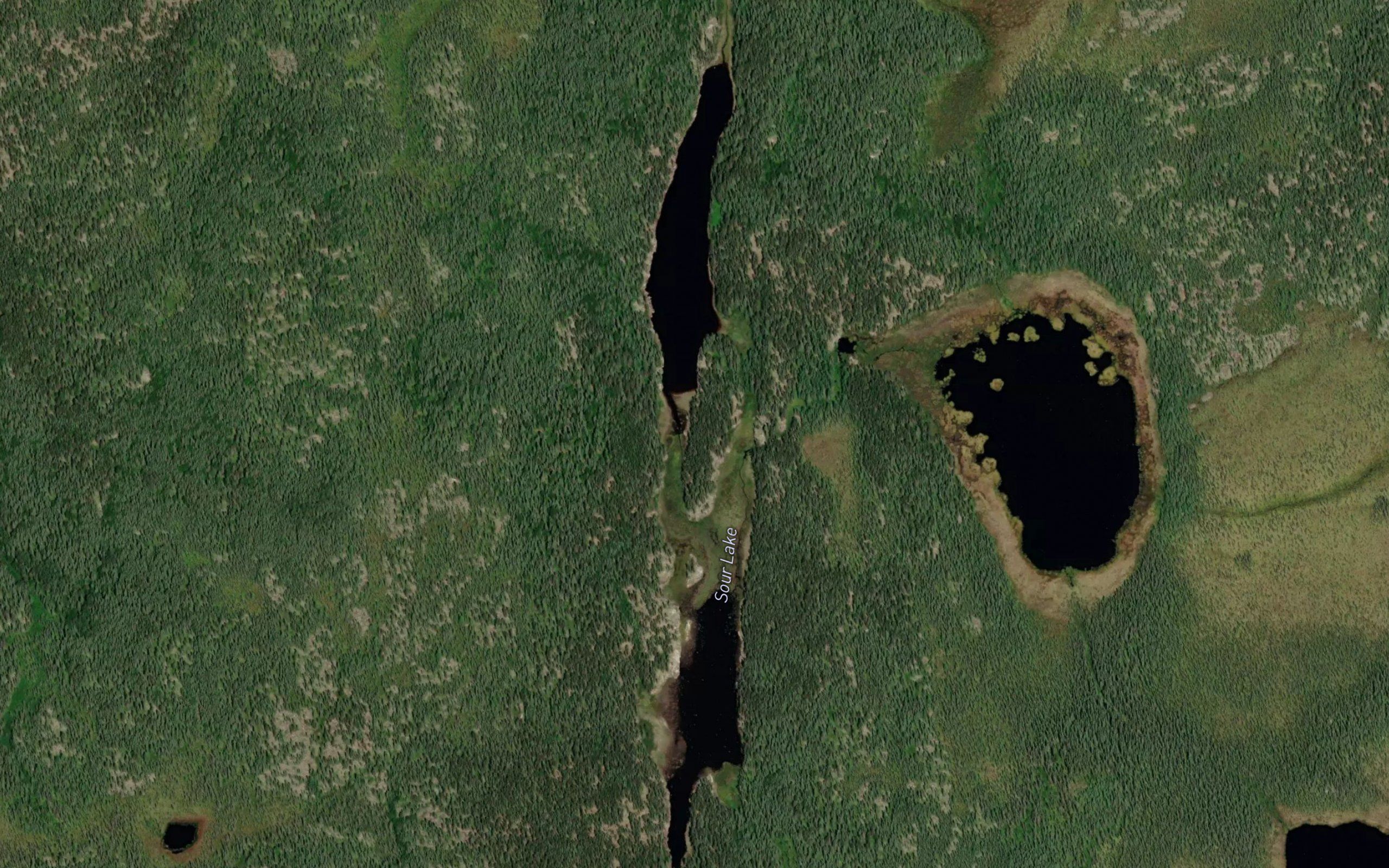 Sour Lake
