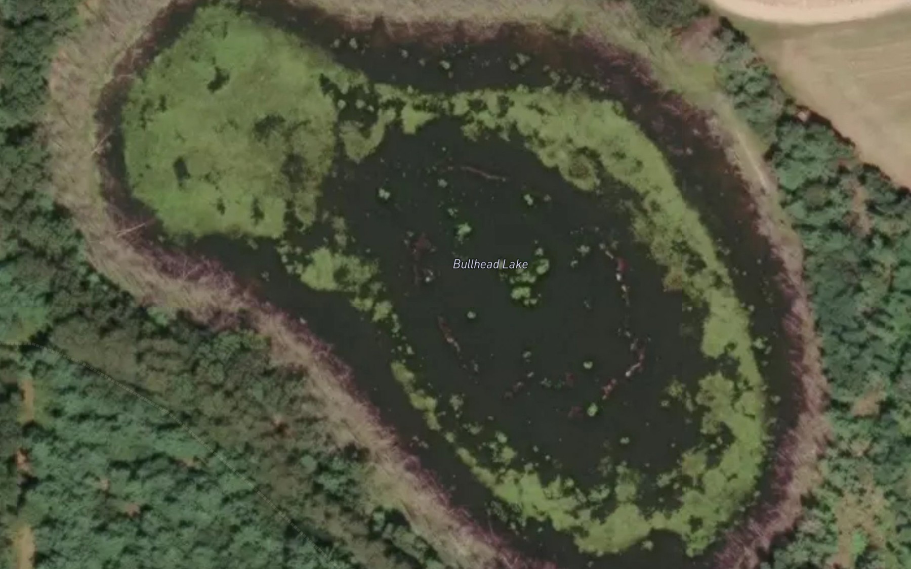 Satellite map of the Bullhead Lake