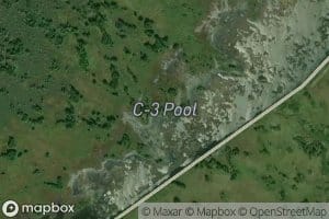 C-Three Pool