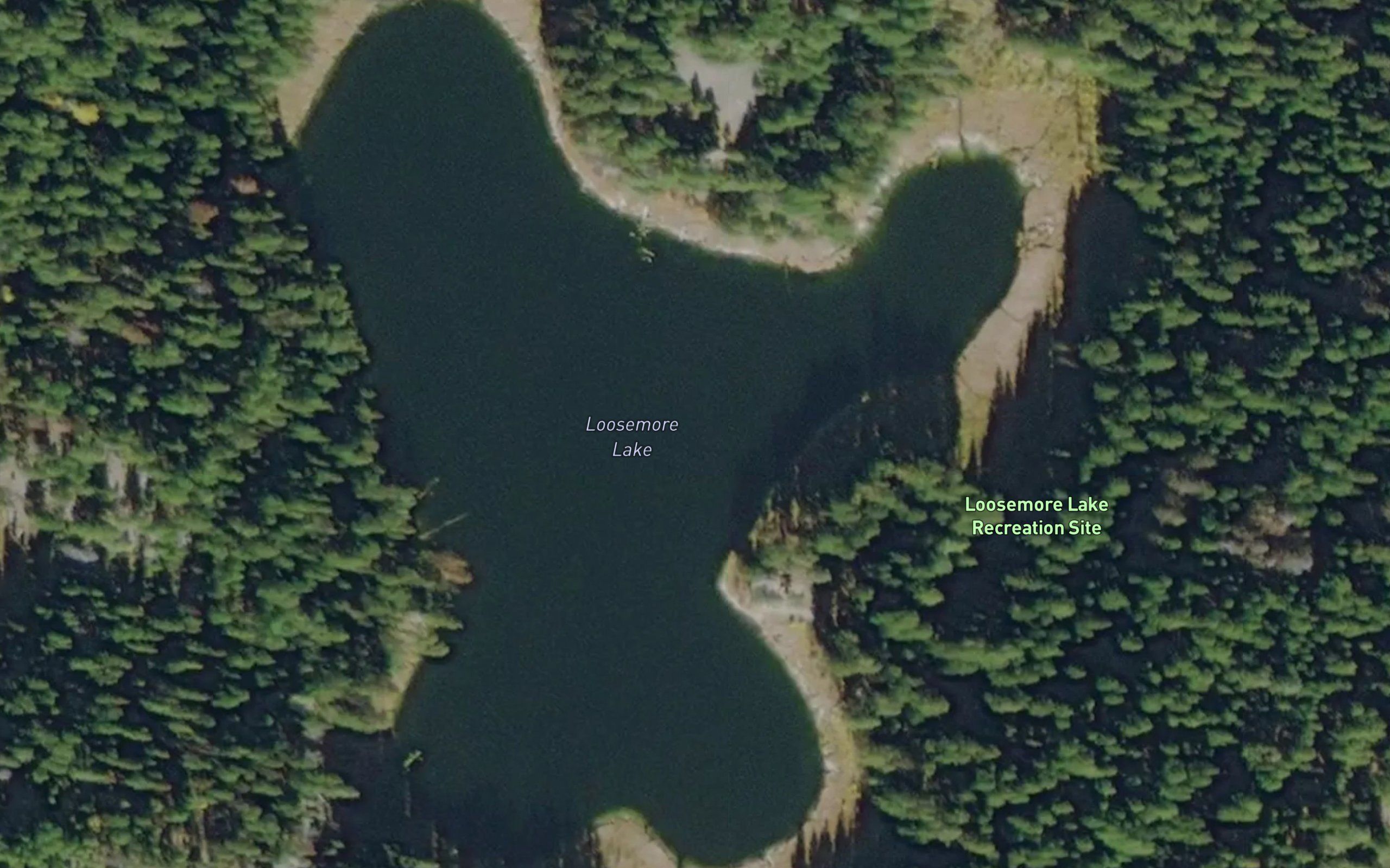 Loosemore Lake