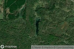 Cuckoo Pond