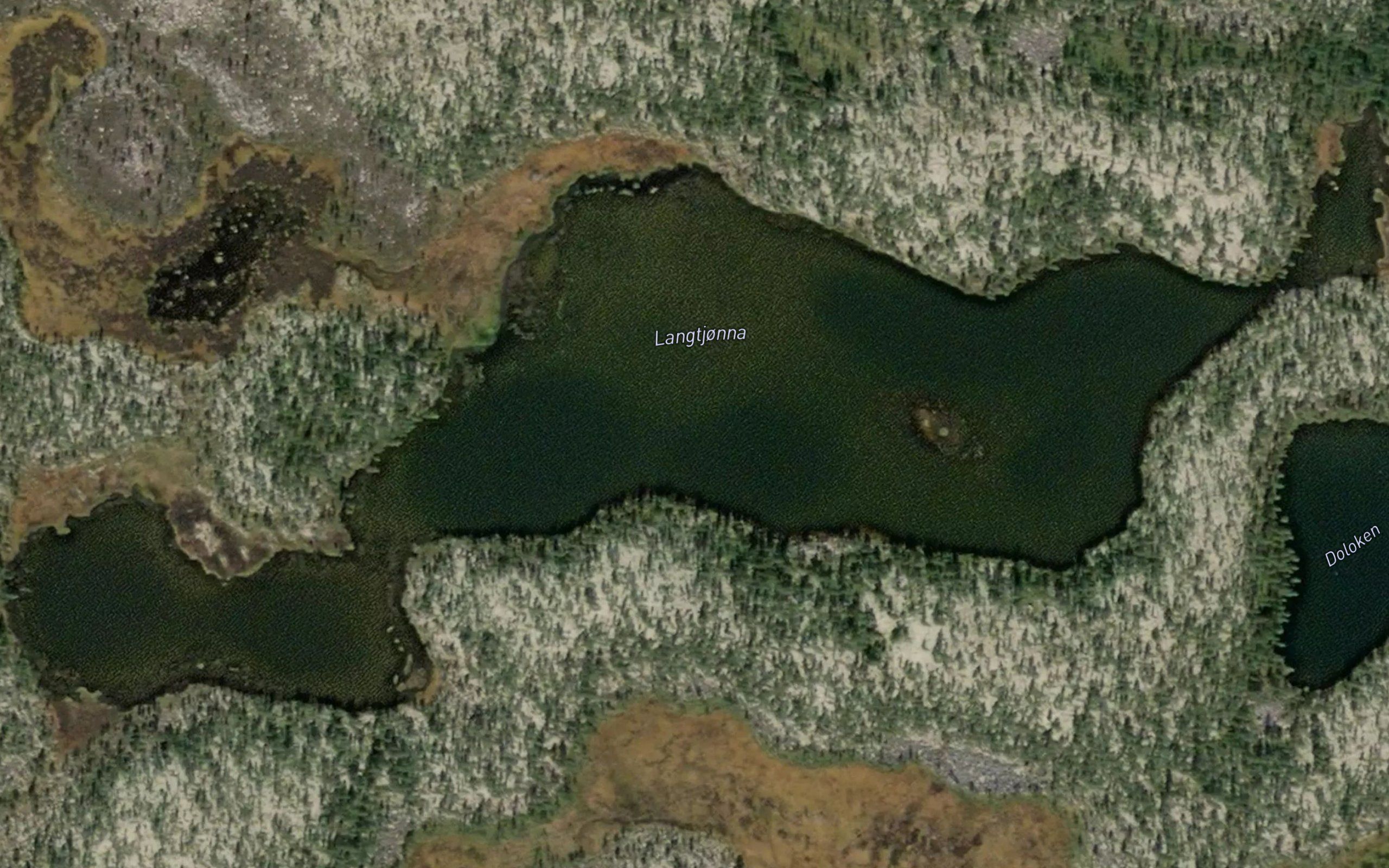 Langtjorna