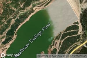 Mayflower Trailings Pond