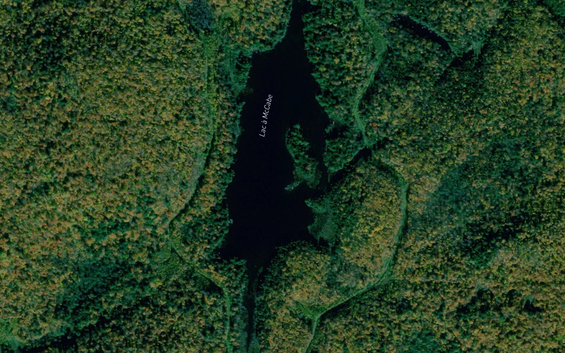 Satellite map of the Lac a McCabe