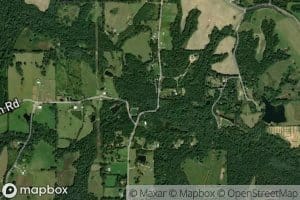 Morgan Branch