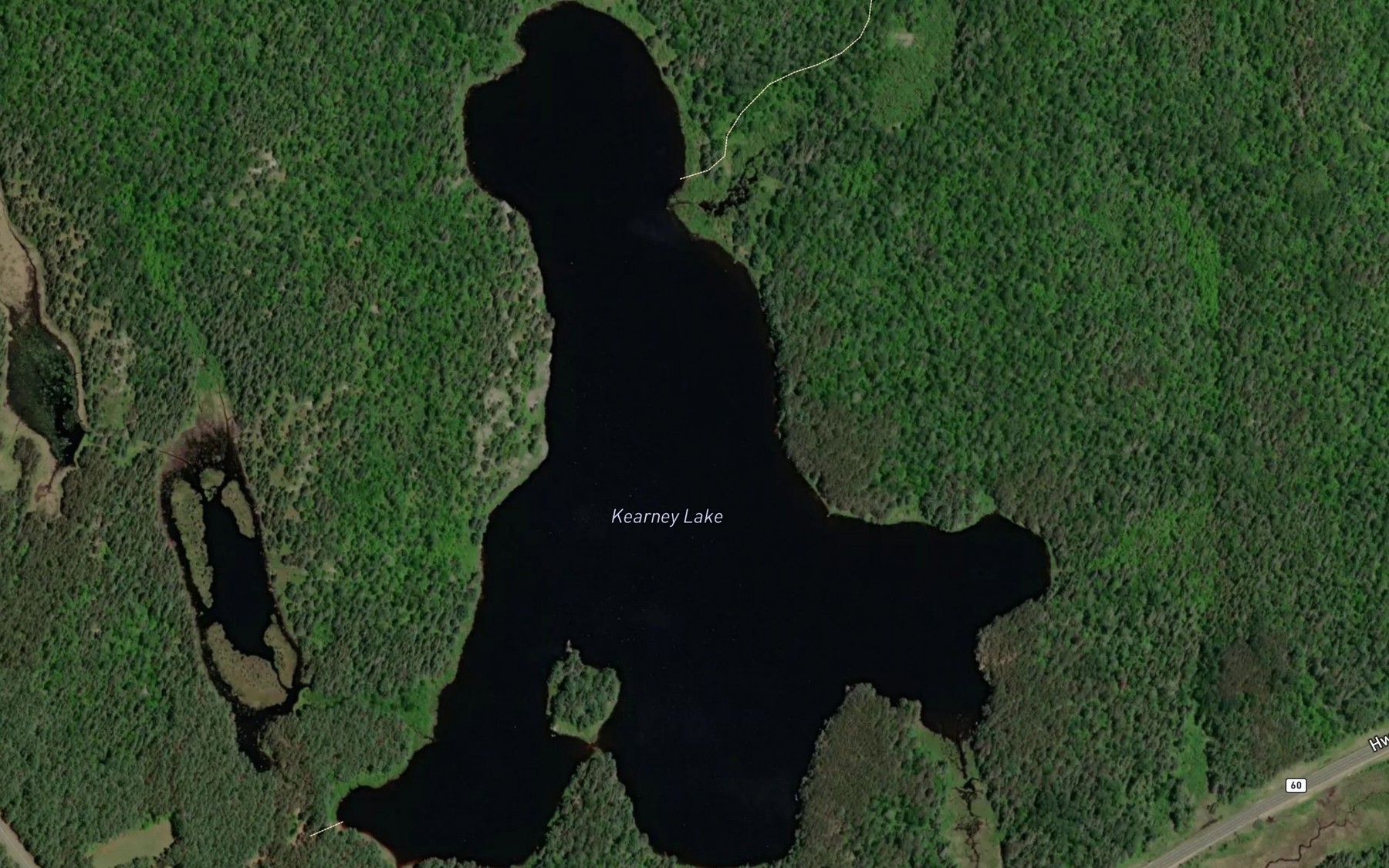 Satellite map of the Kearney Lake