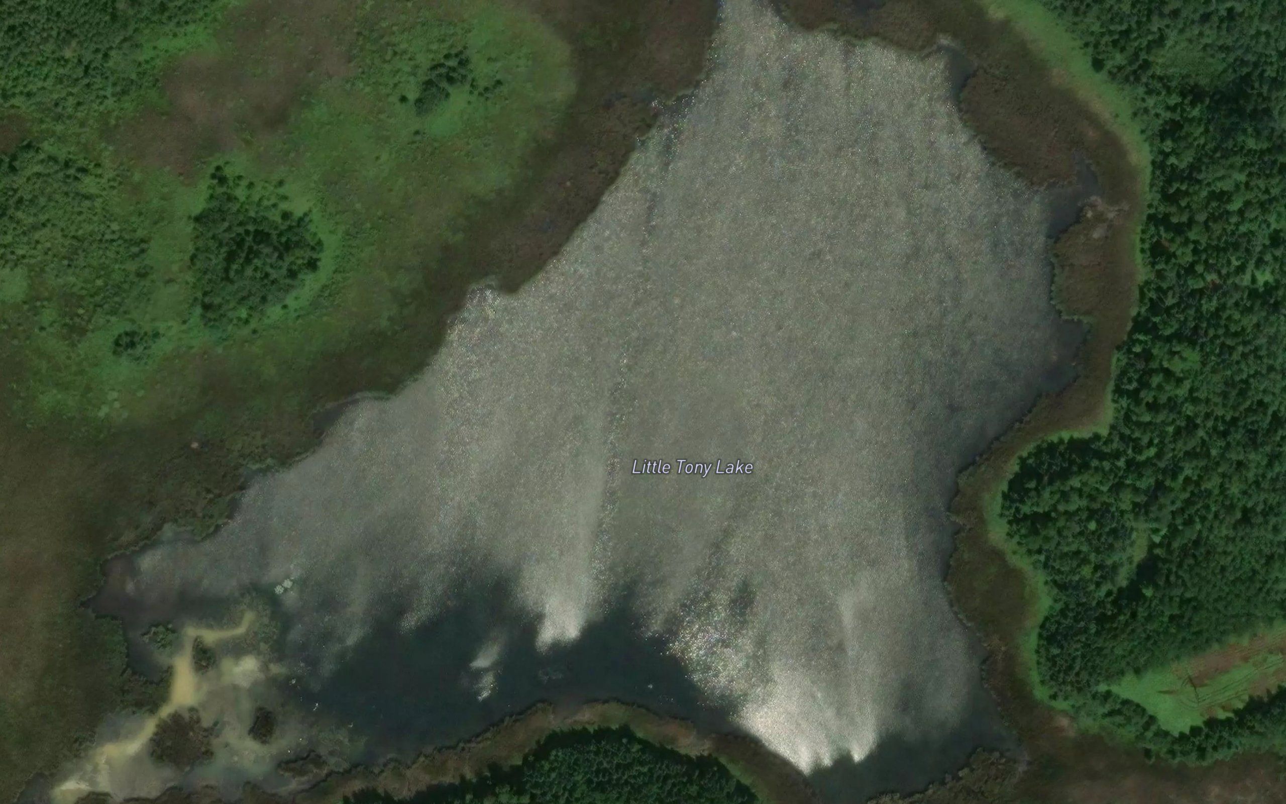 Little Tony Lake