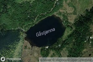Gastjorna