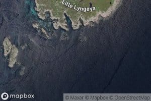 Sore Lyngoytaren