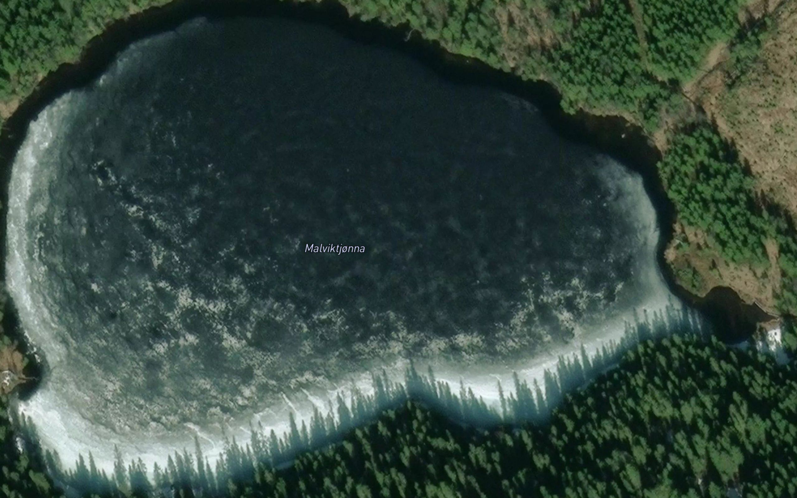 Malviktjorna