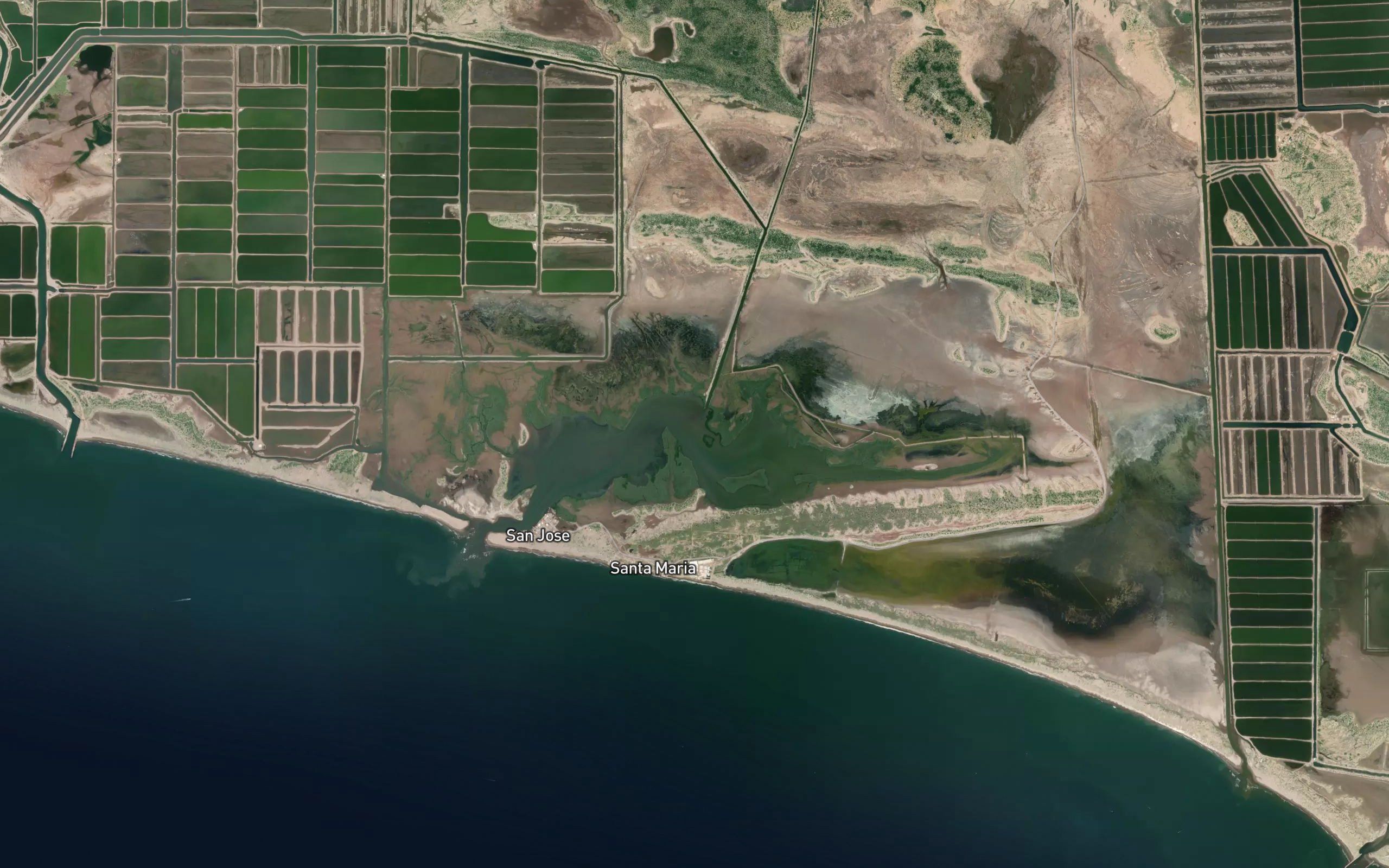 Estero San Jose