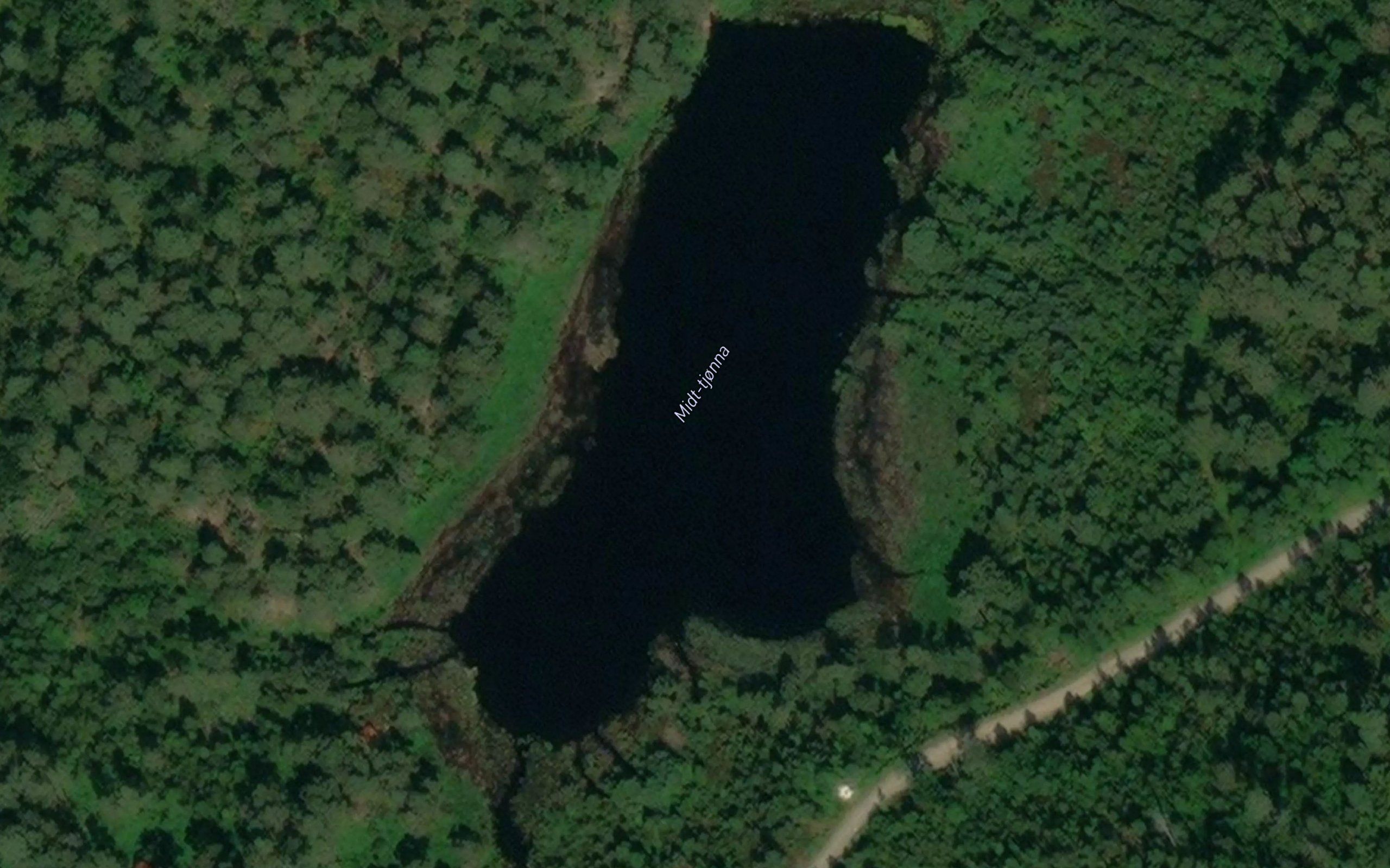 Midt-tjonna