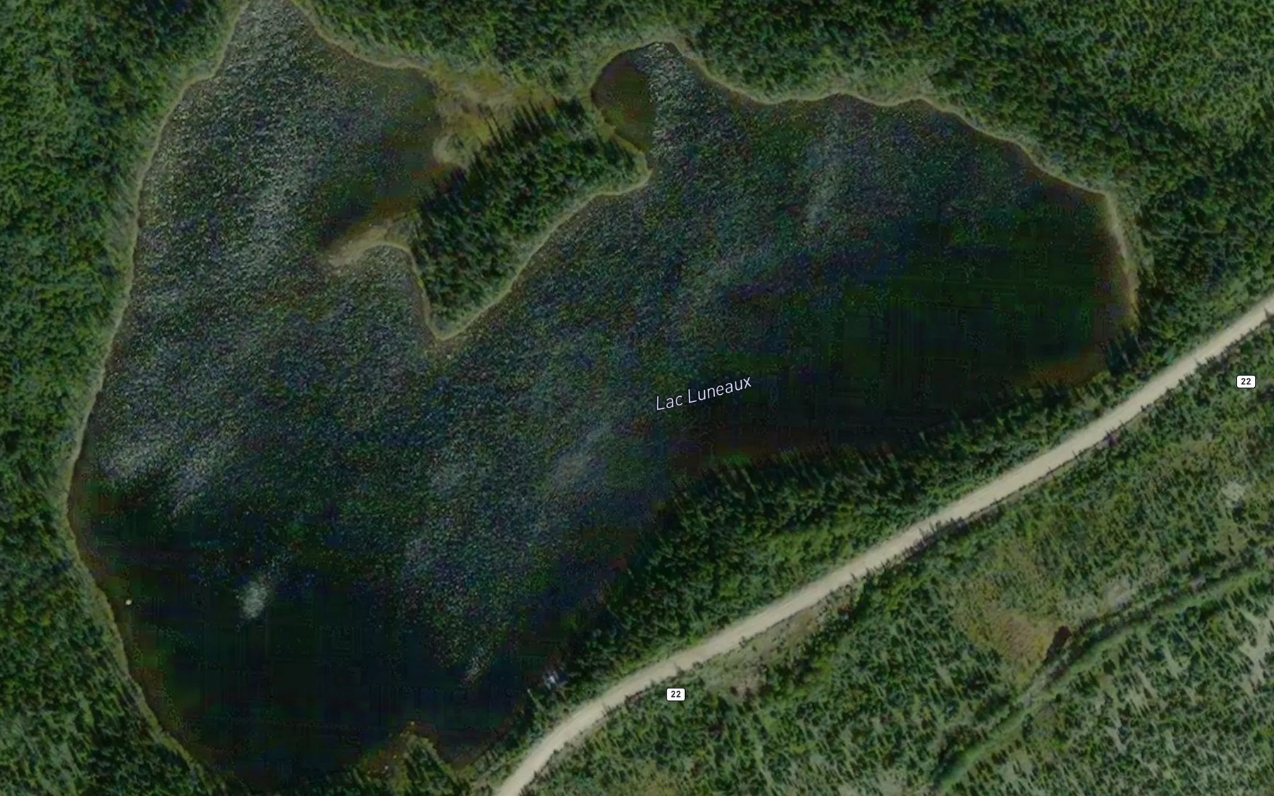 Satellite map of the Lac Luneaux