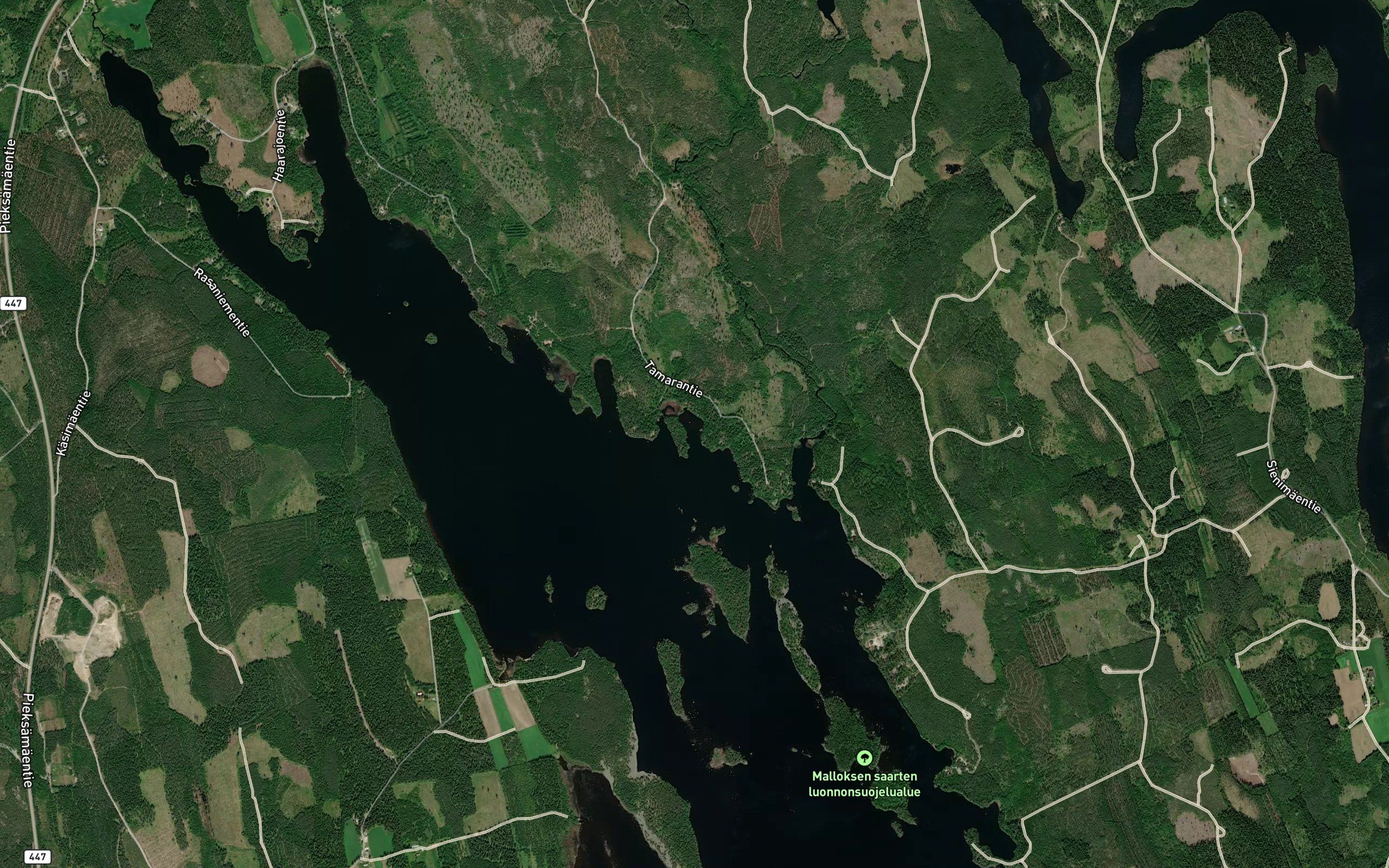 Kuikkalahti