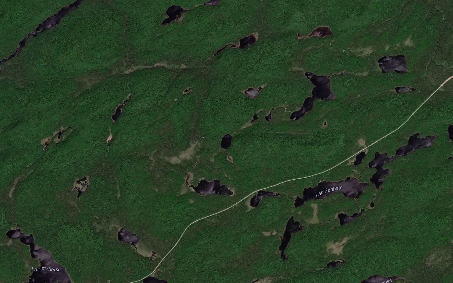 Satellite map of the Lac de la Pie
