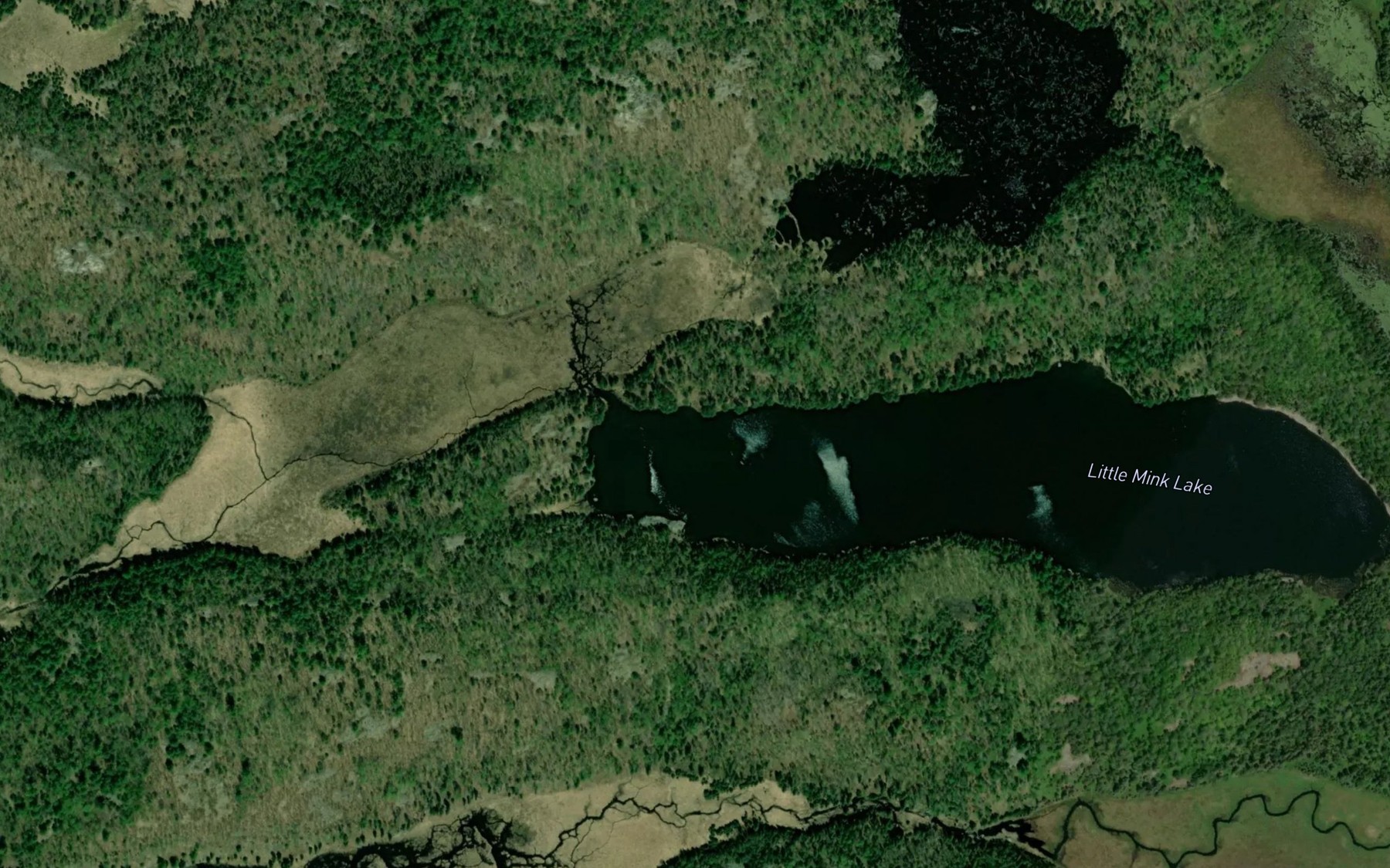 Satellite map of the Little Mink Lake
