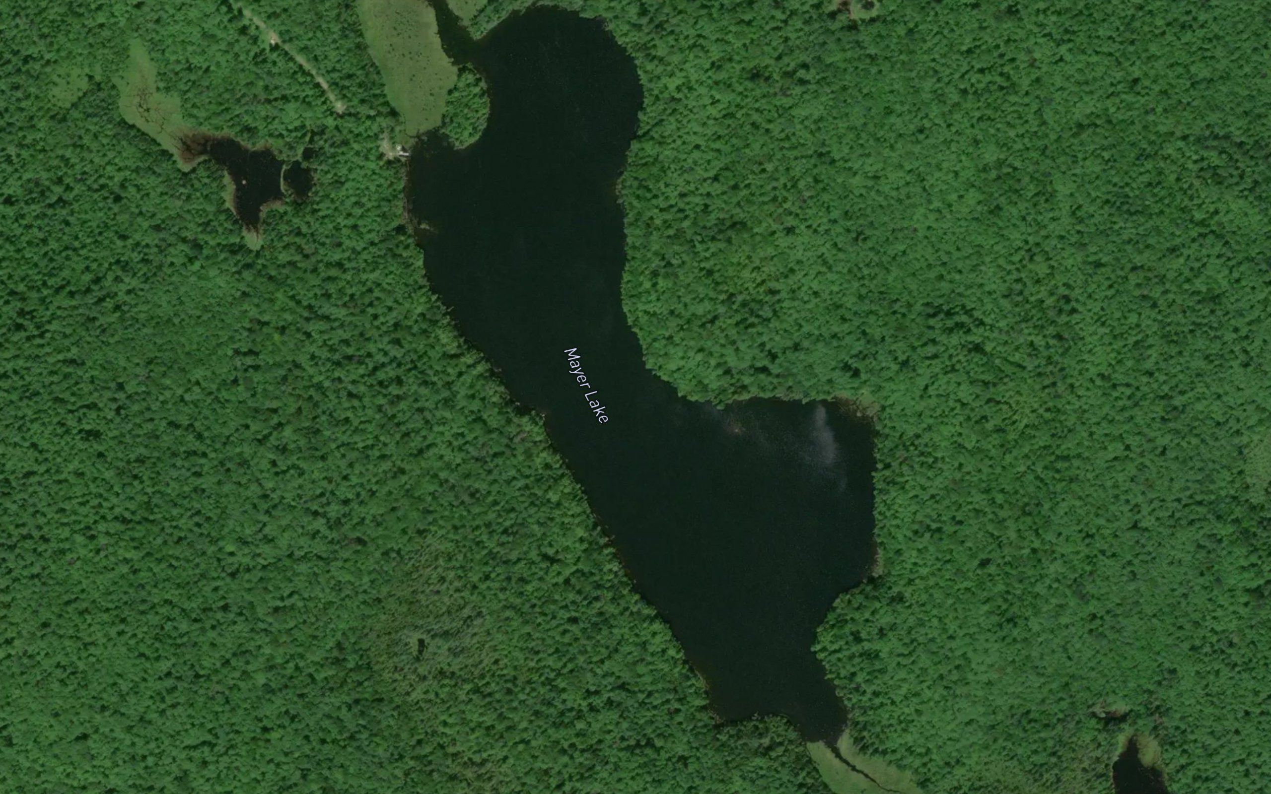 Mayer Lake