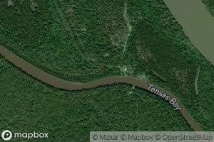 Big Tensas Bayou