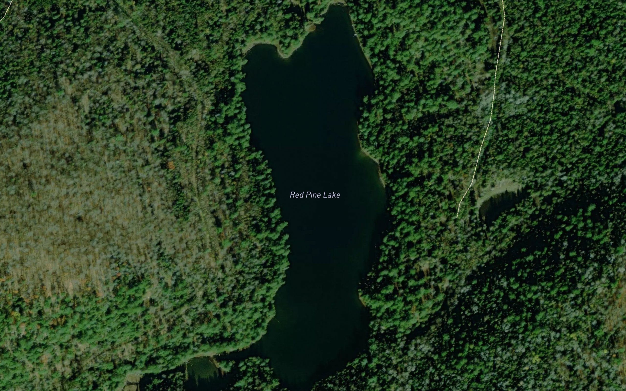 Red Pine Lake