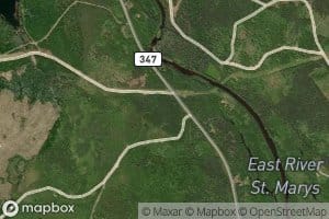Big Meadow Brook