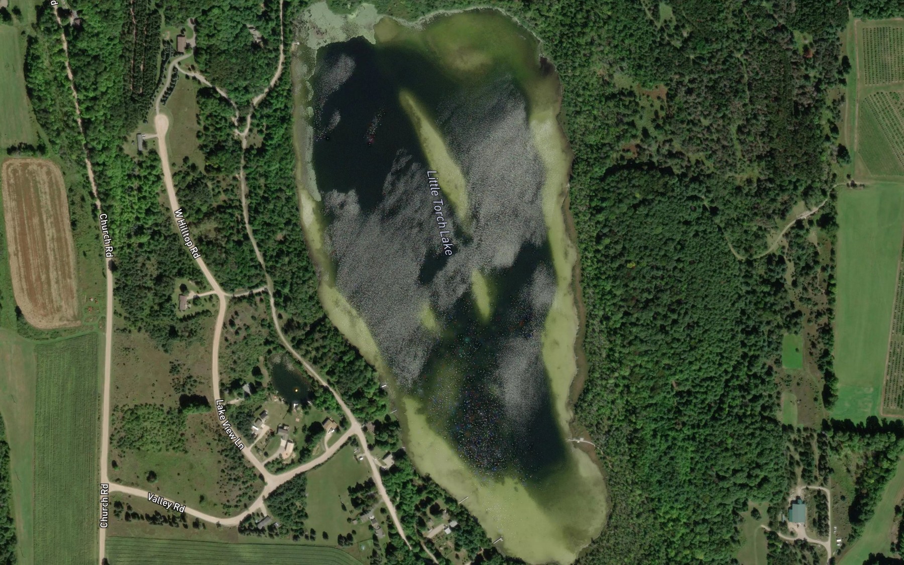 Satellite map of the Little Torch Lake