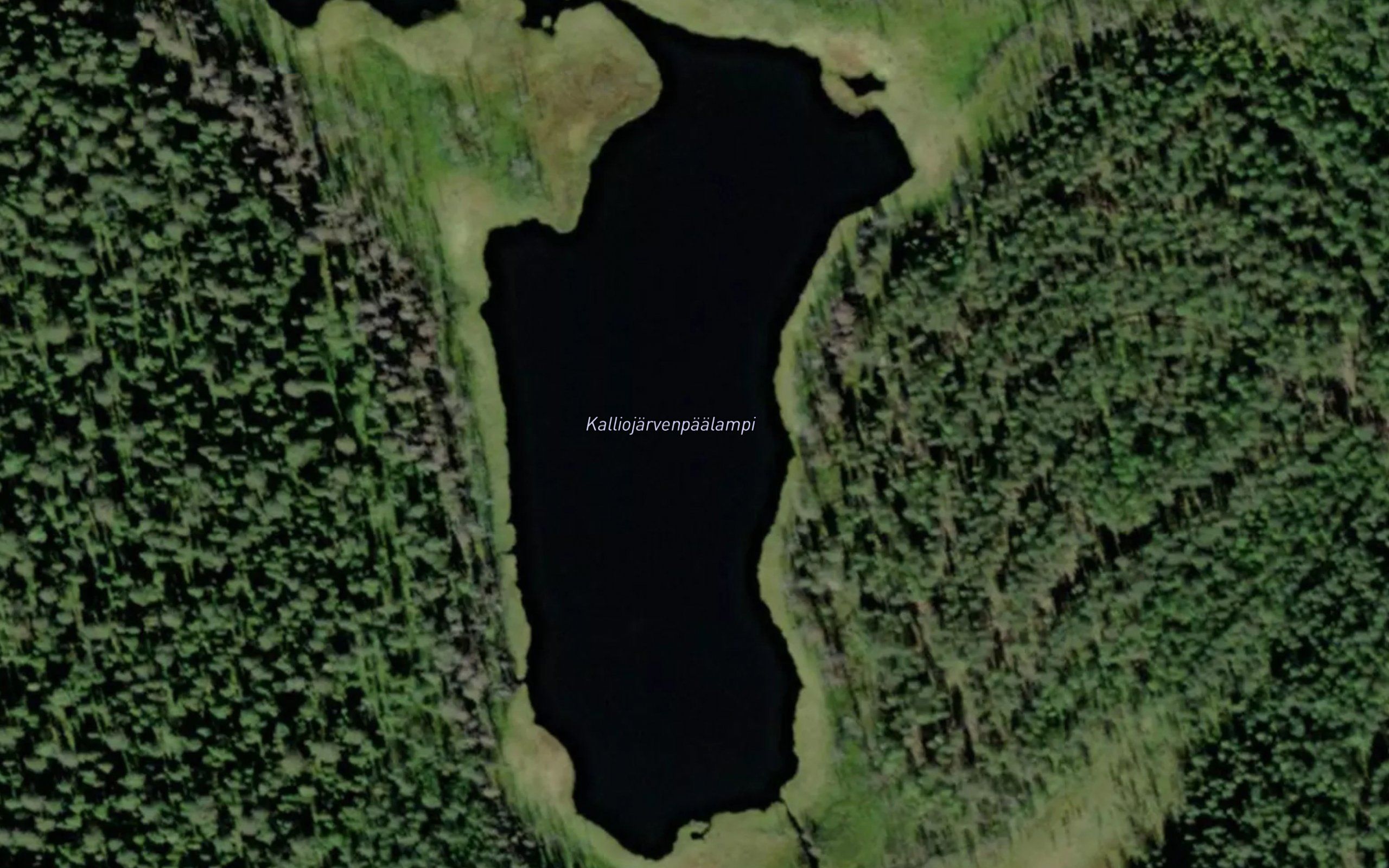 Kalliojarvenpaalampi