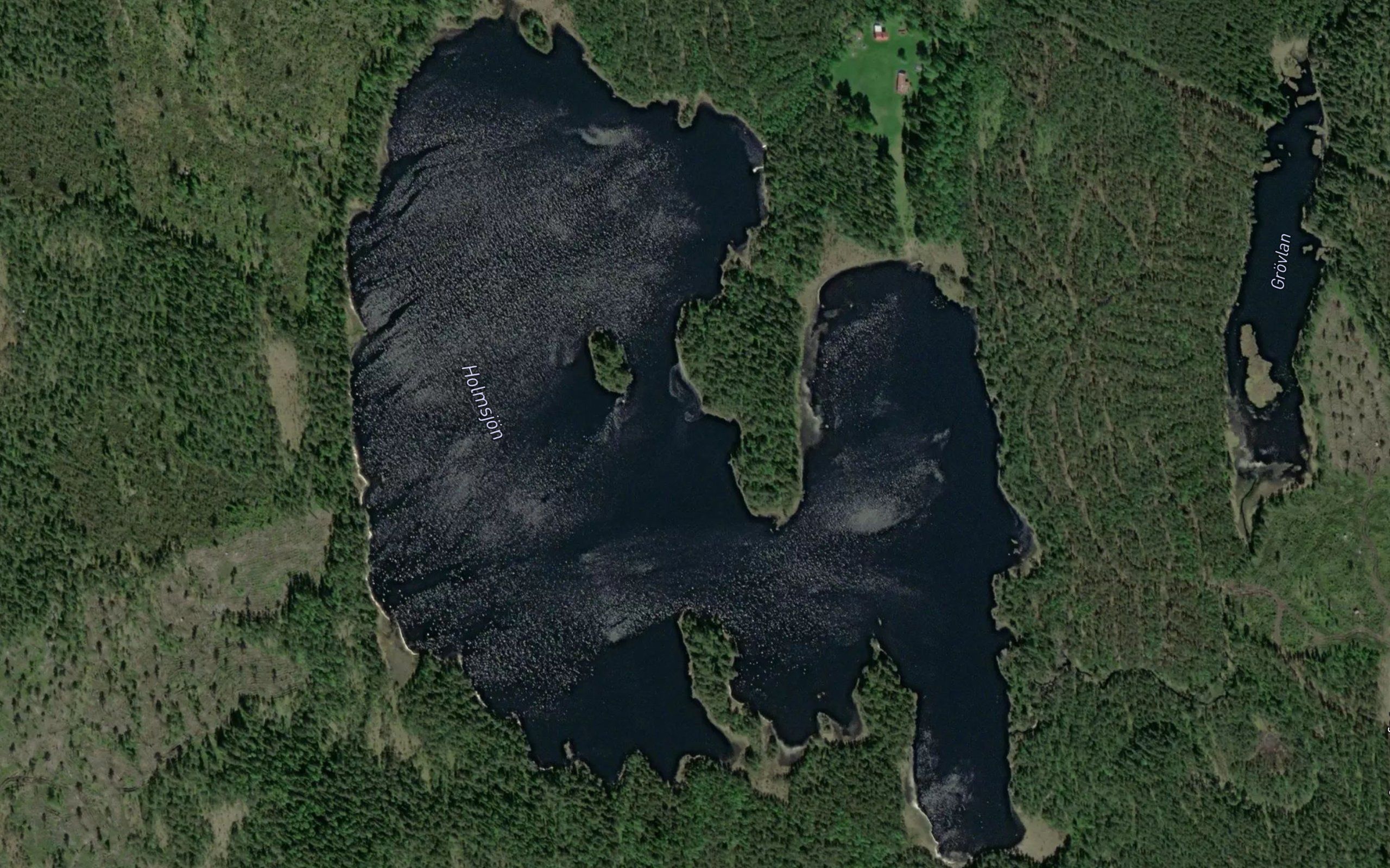 Langtjarn