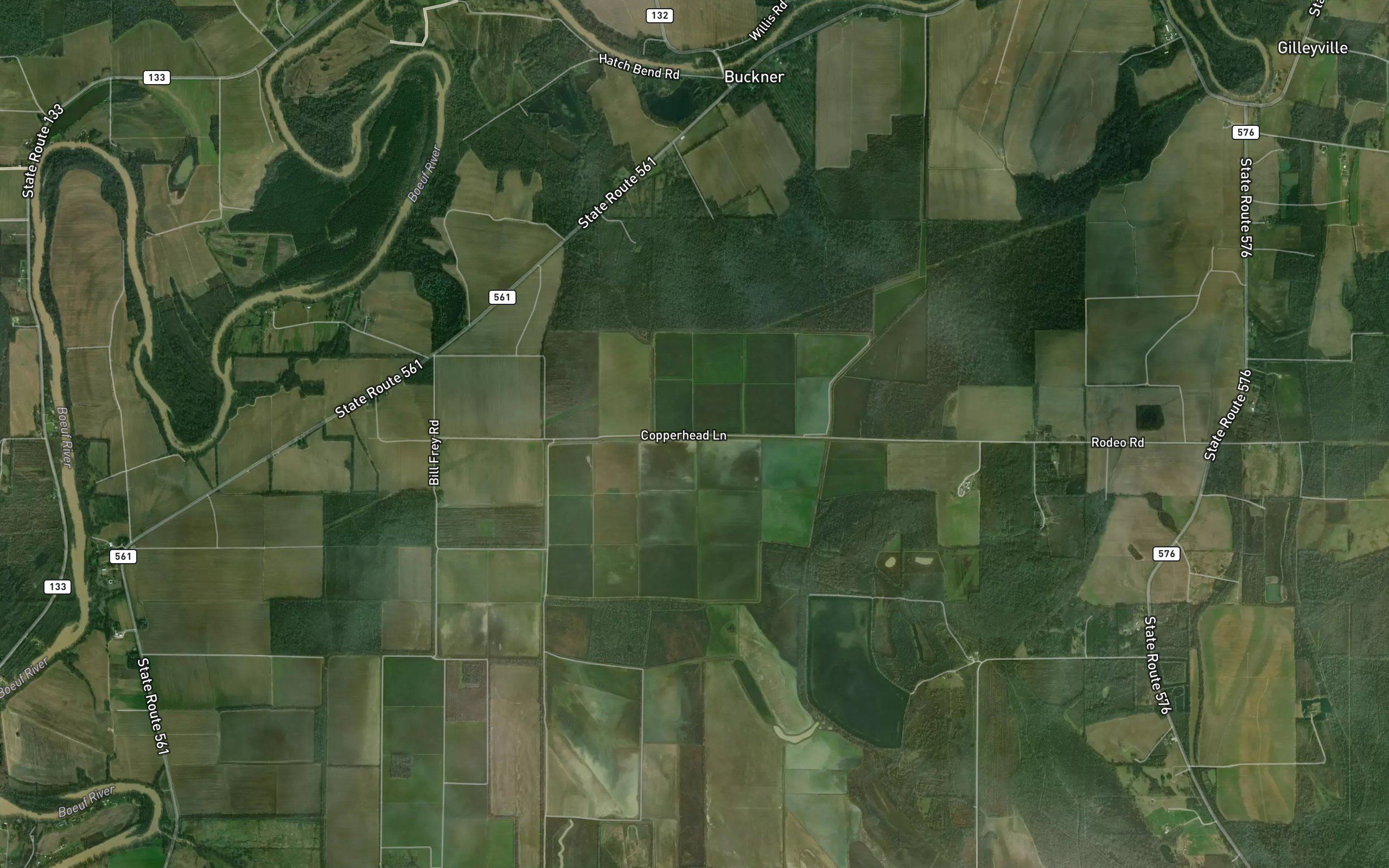 Persimmon Slough