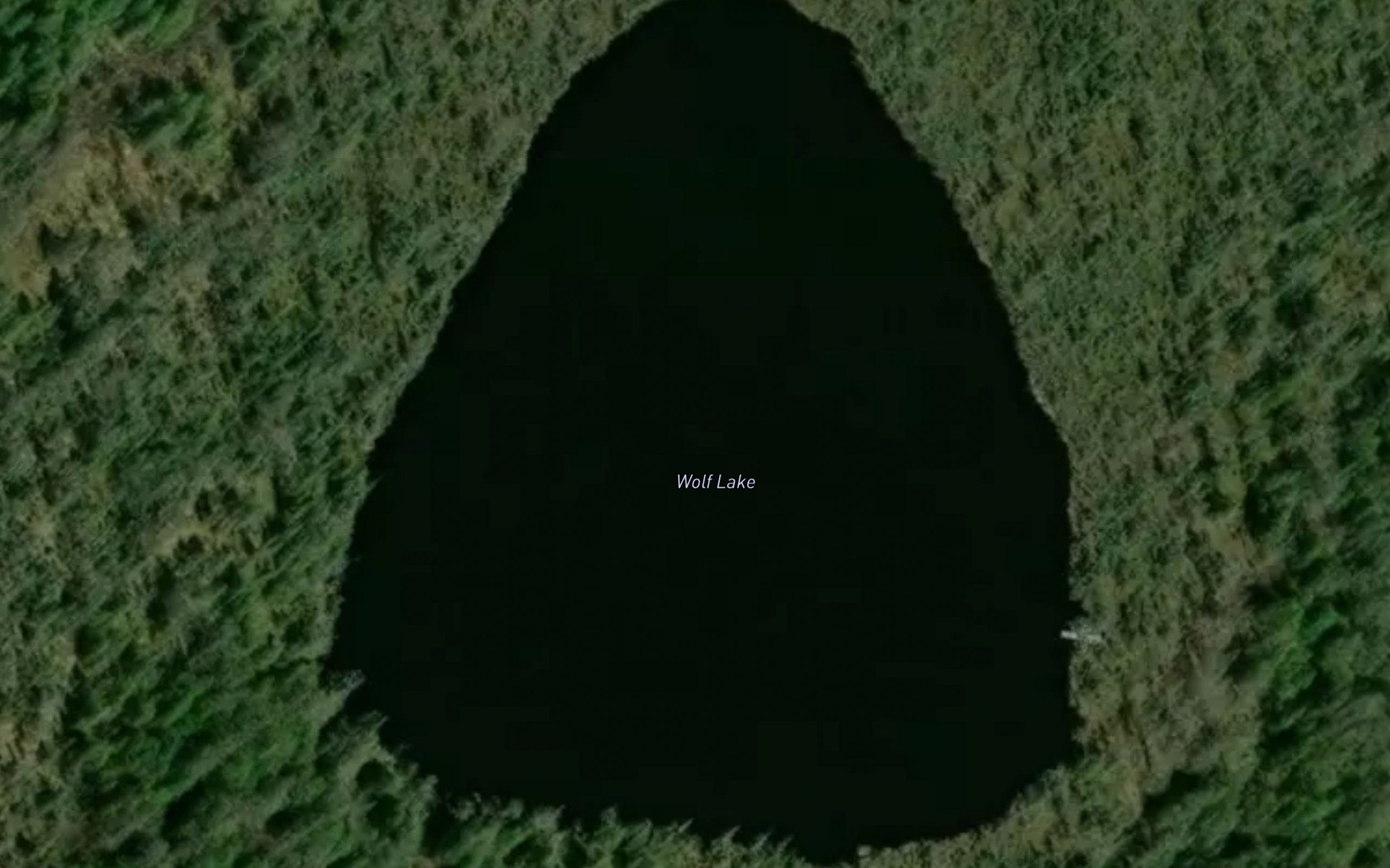 Wolf Lake
