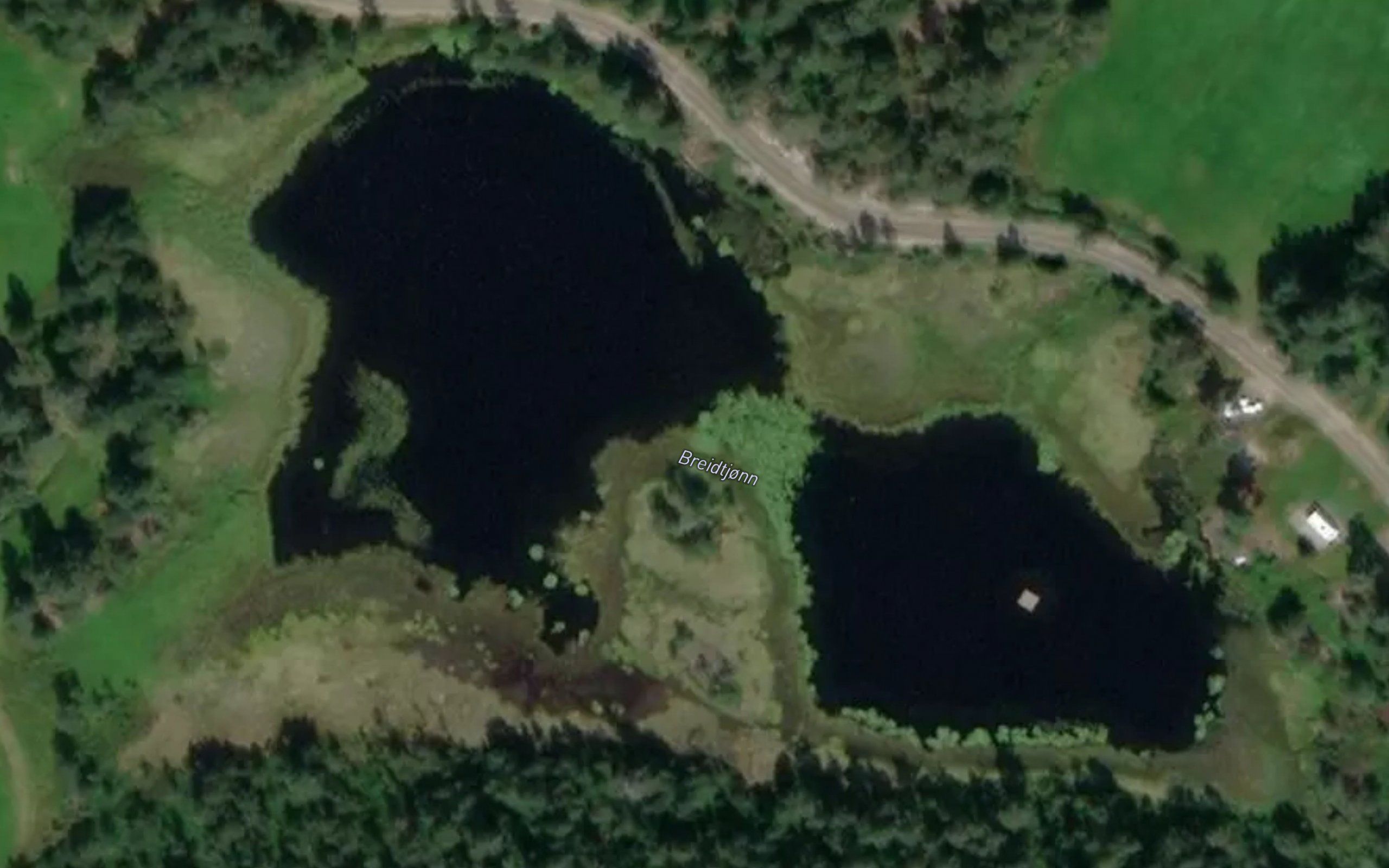 Breidtjorn