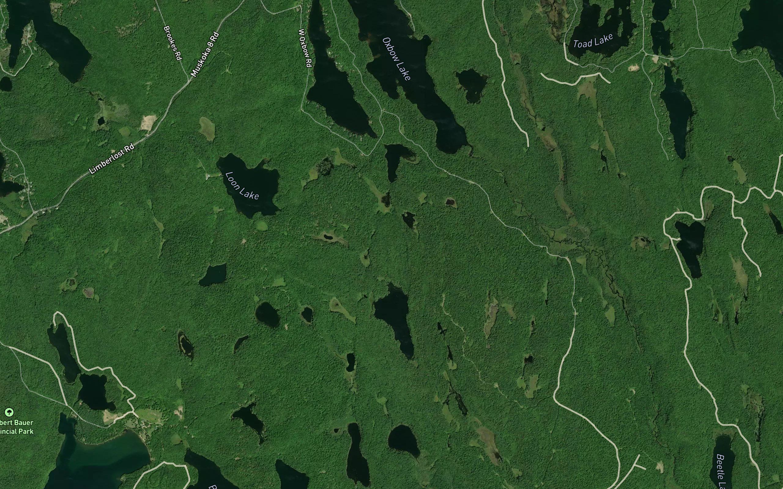 Little Oxbow Creek