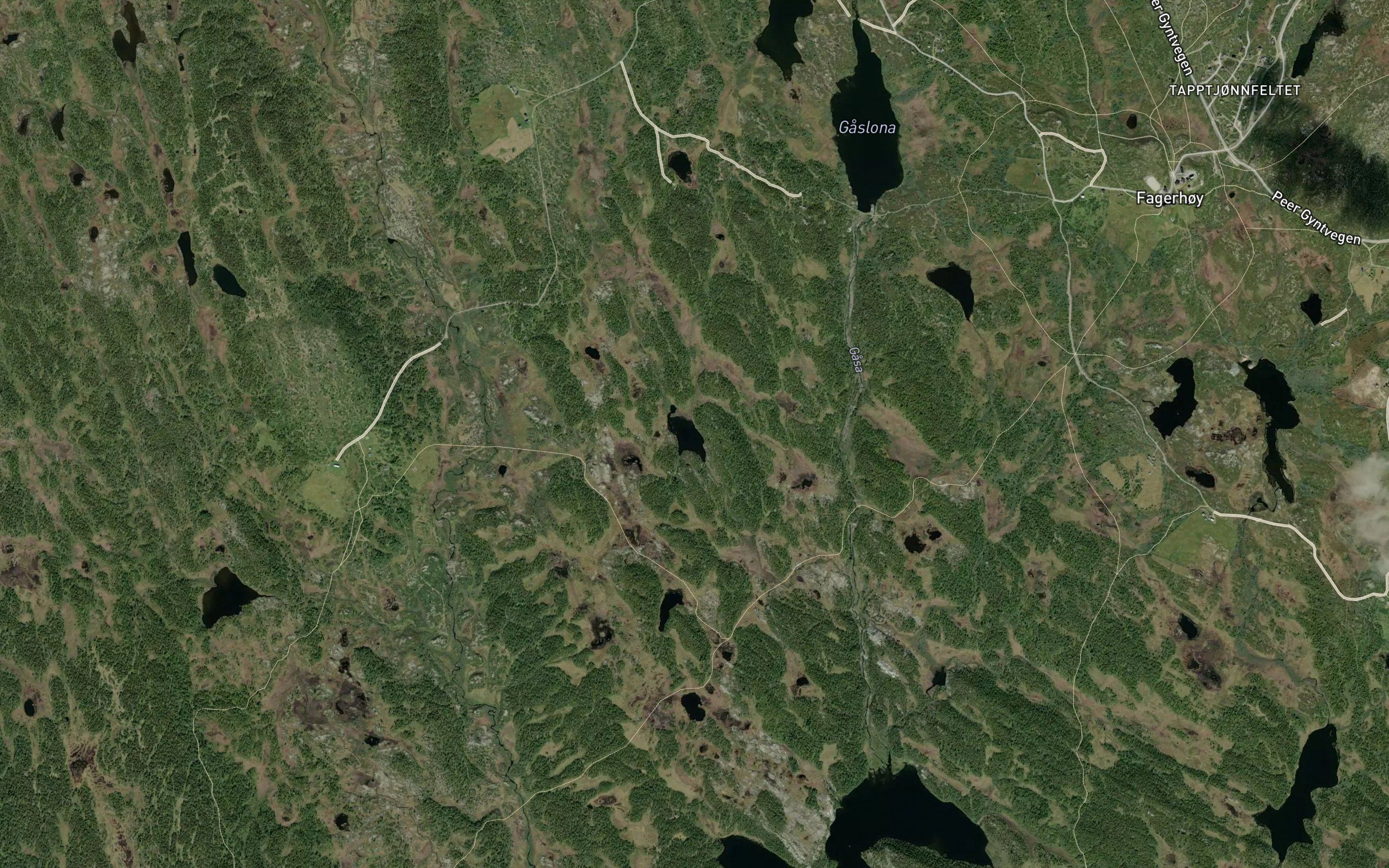 Lykkjetjonna