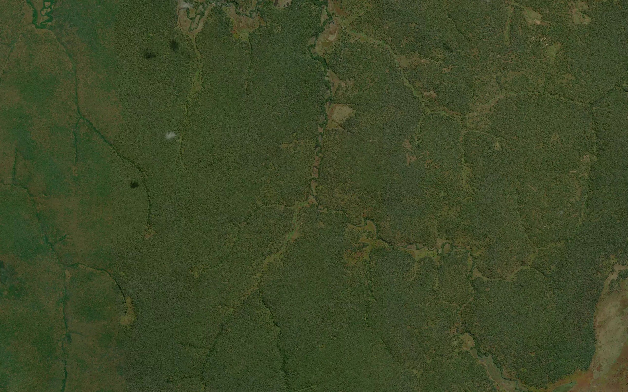 Kapeleko