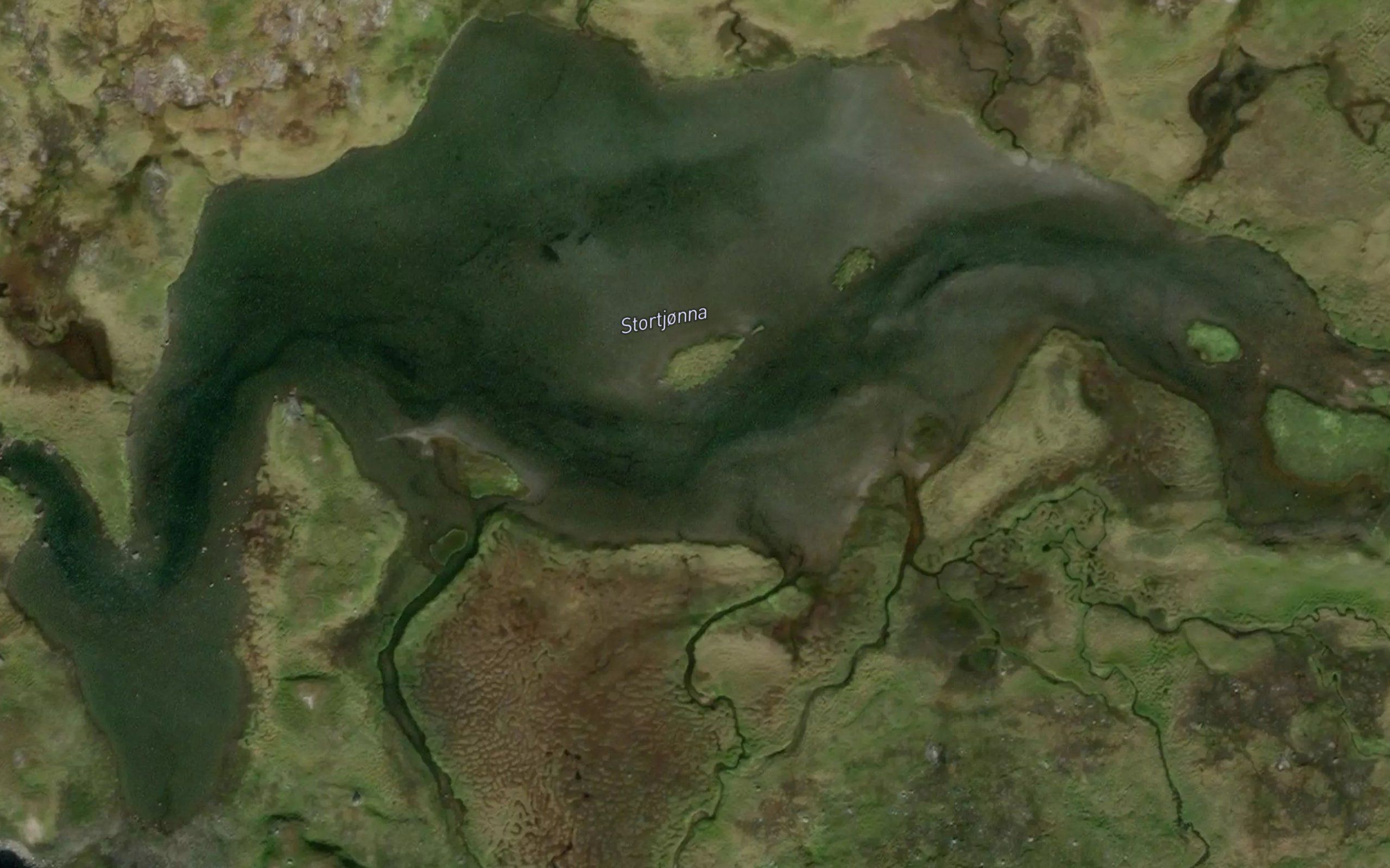 Stortjorna
