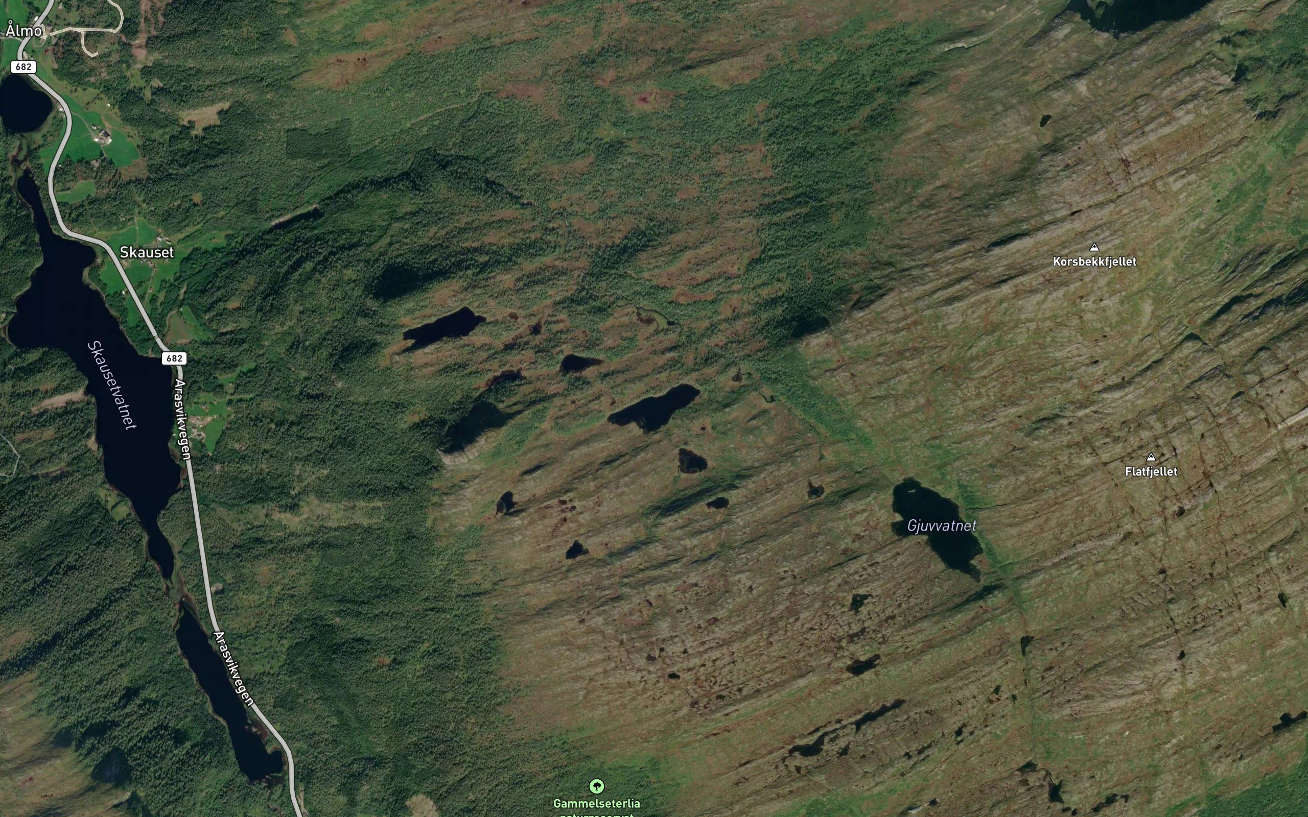 Rognlivatnet