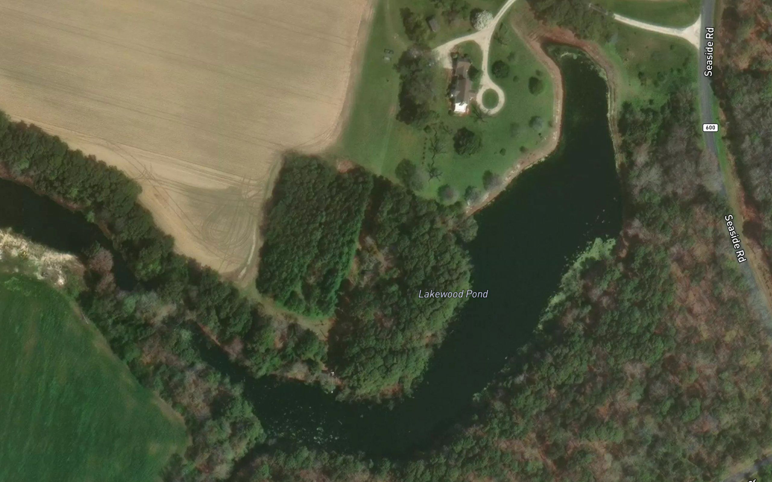 Lakewood Pond