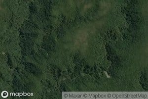 Gold Burn East Branch