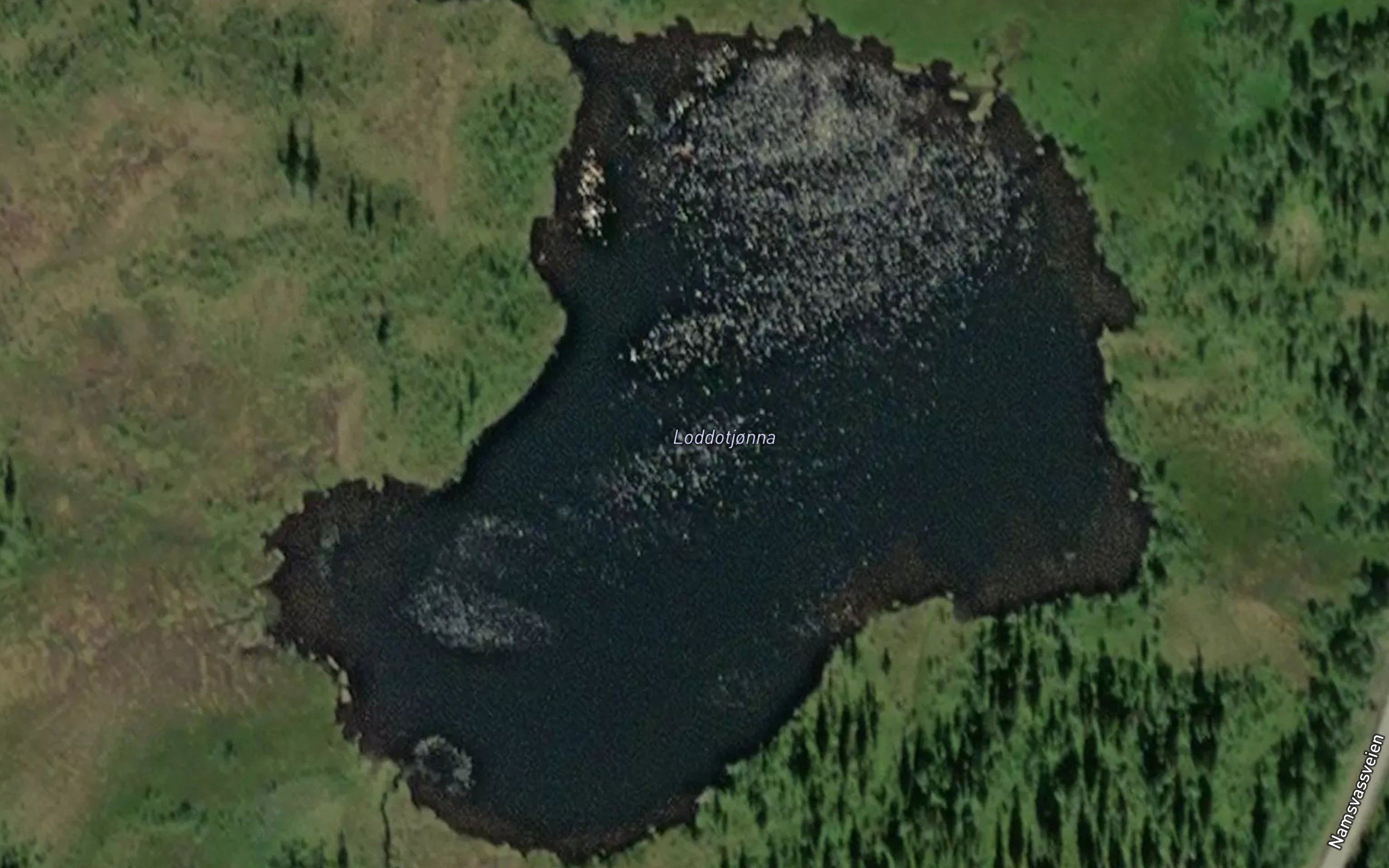 Loddotjonna