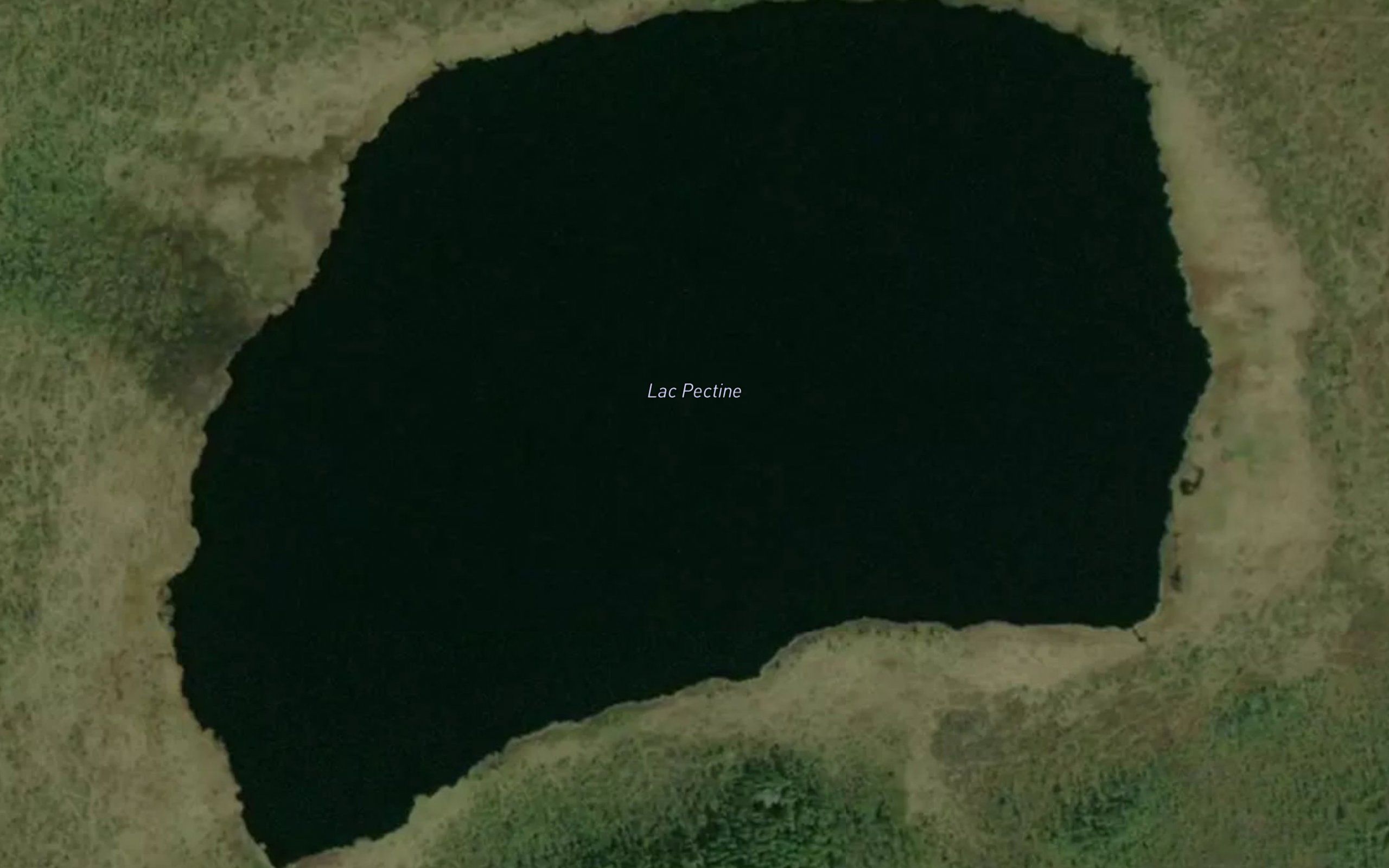 Lac Pectine