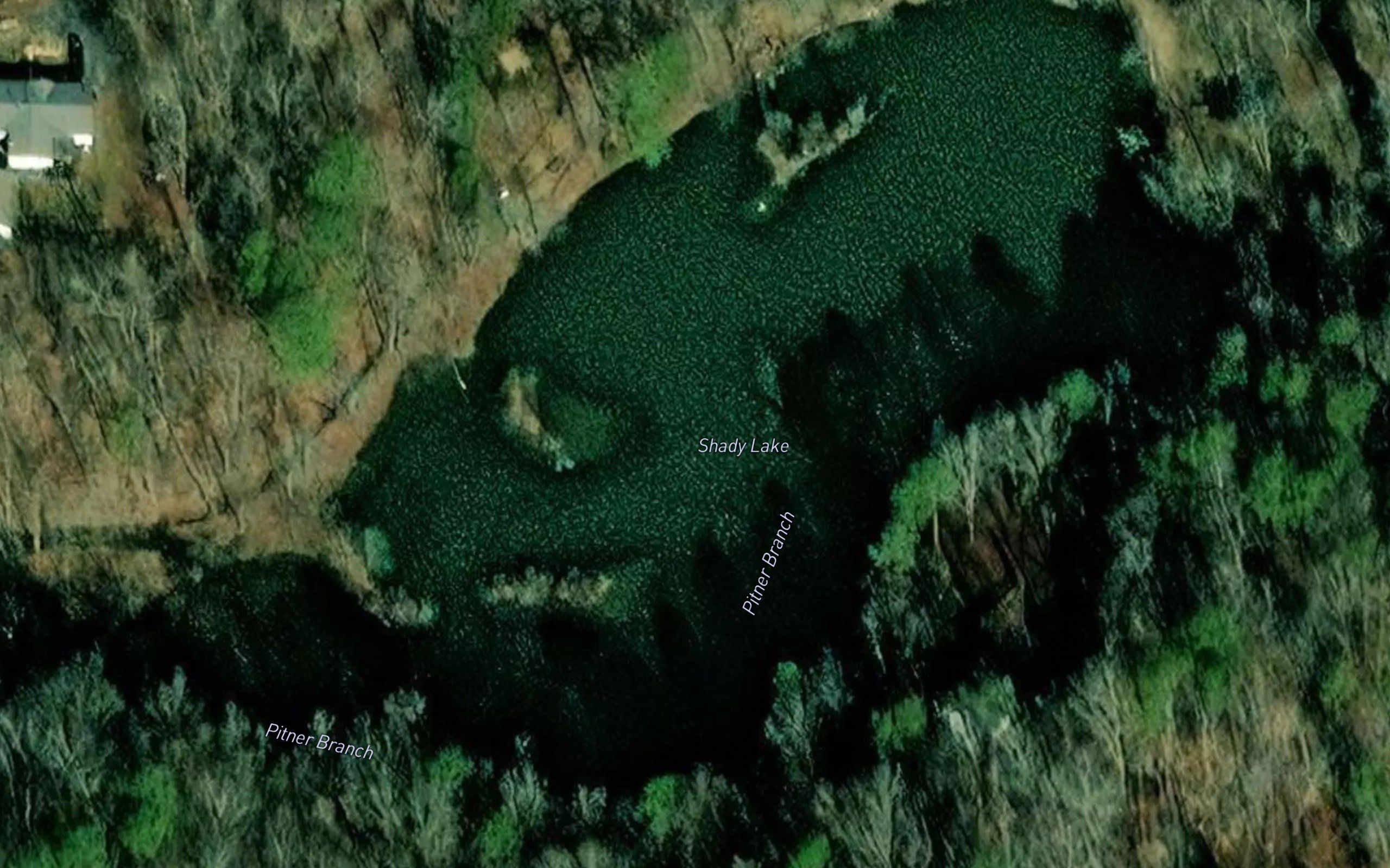 Shady Lake