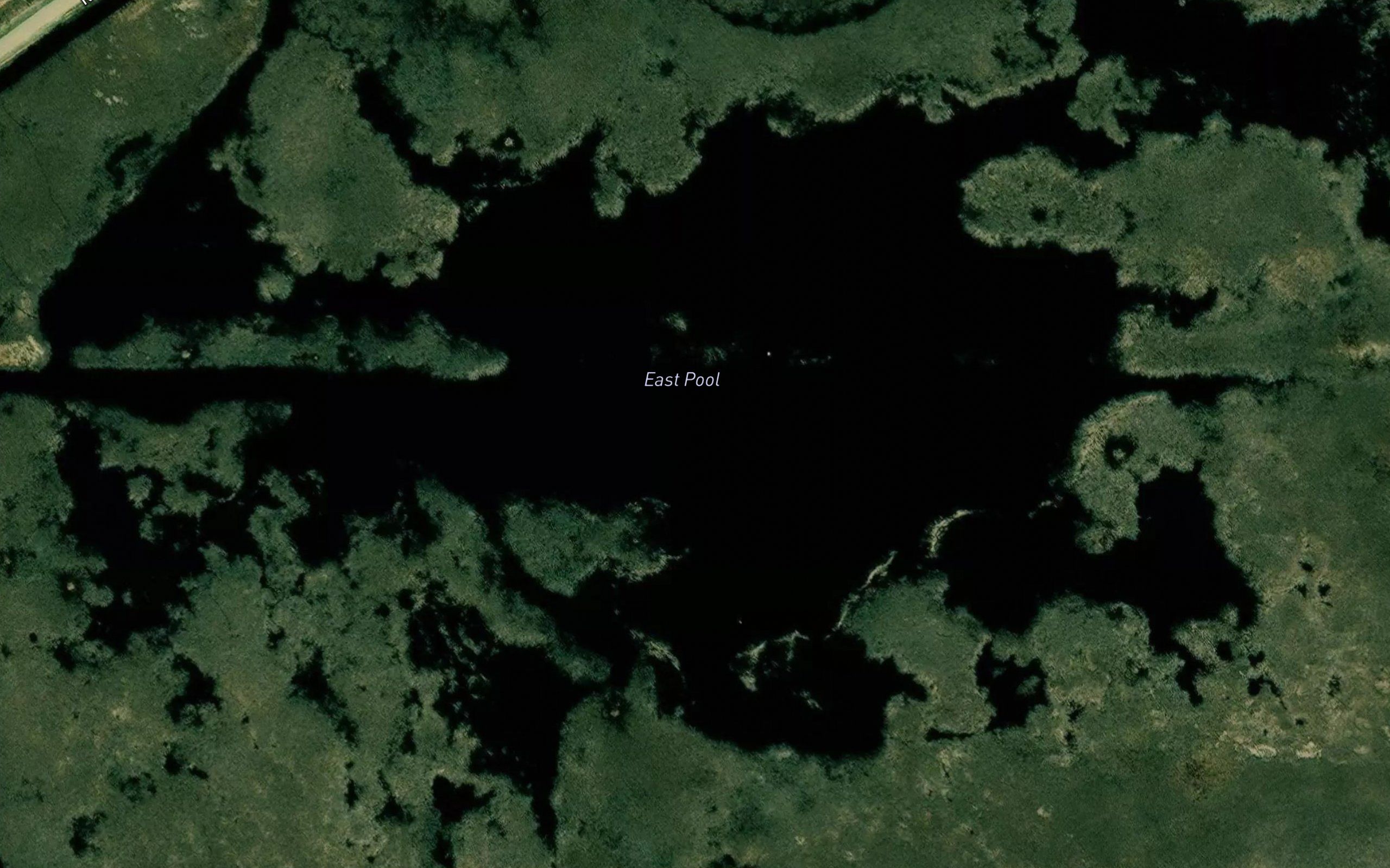 East Pool