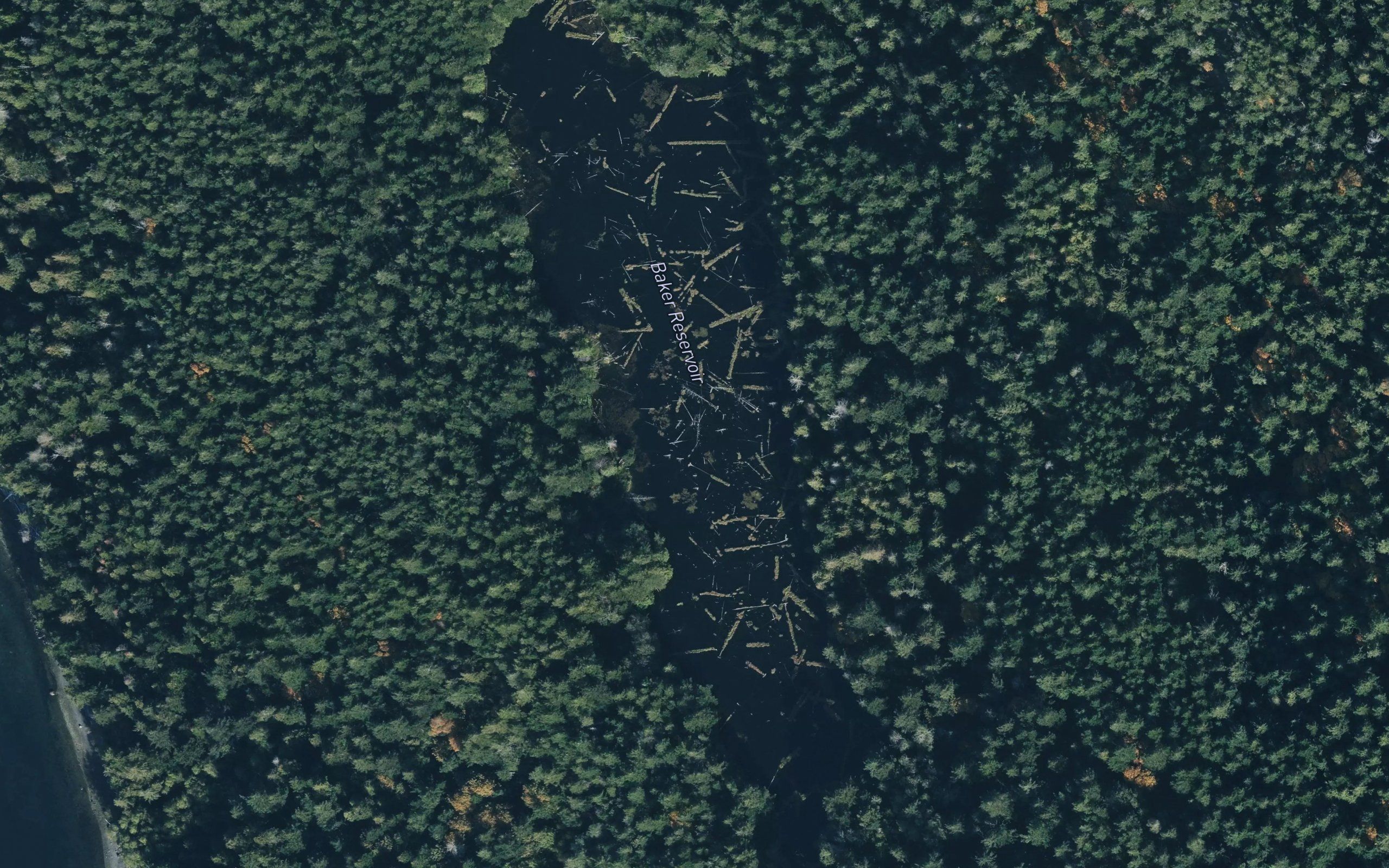Baker Reservoir