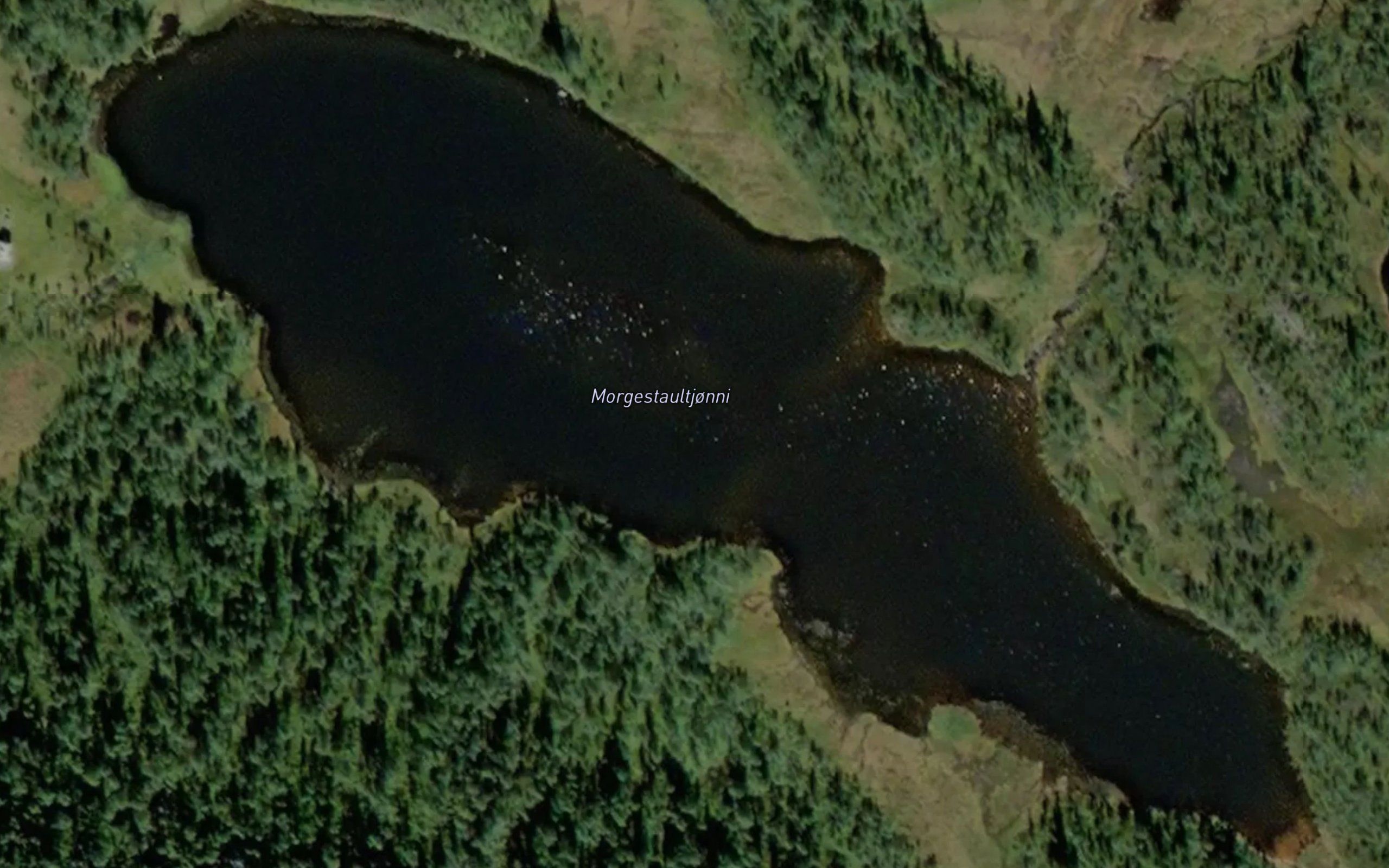 Morgestaultjonni