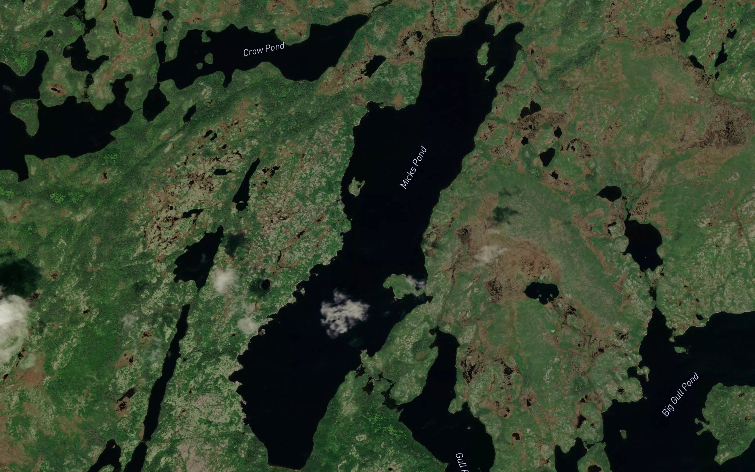 Micks Pond