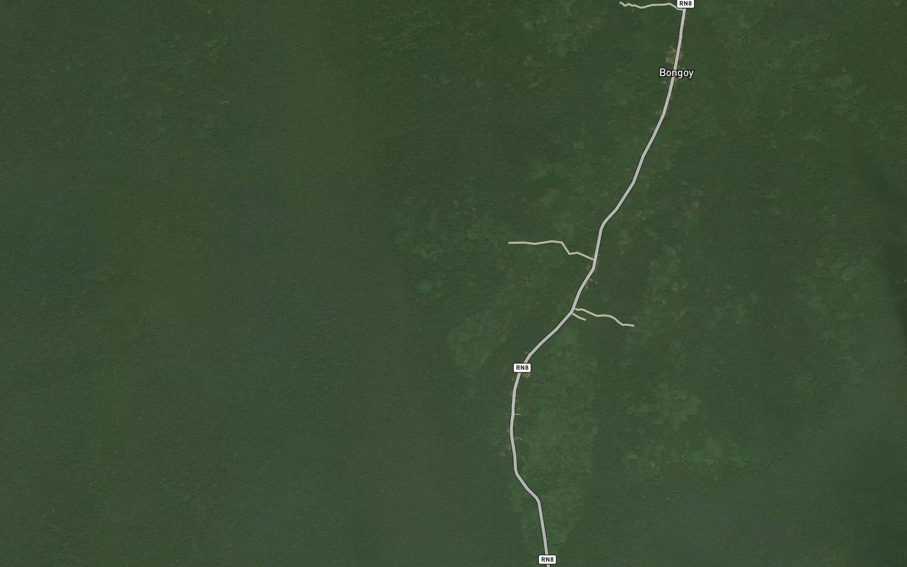 Satellite map of the Bamboko