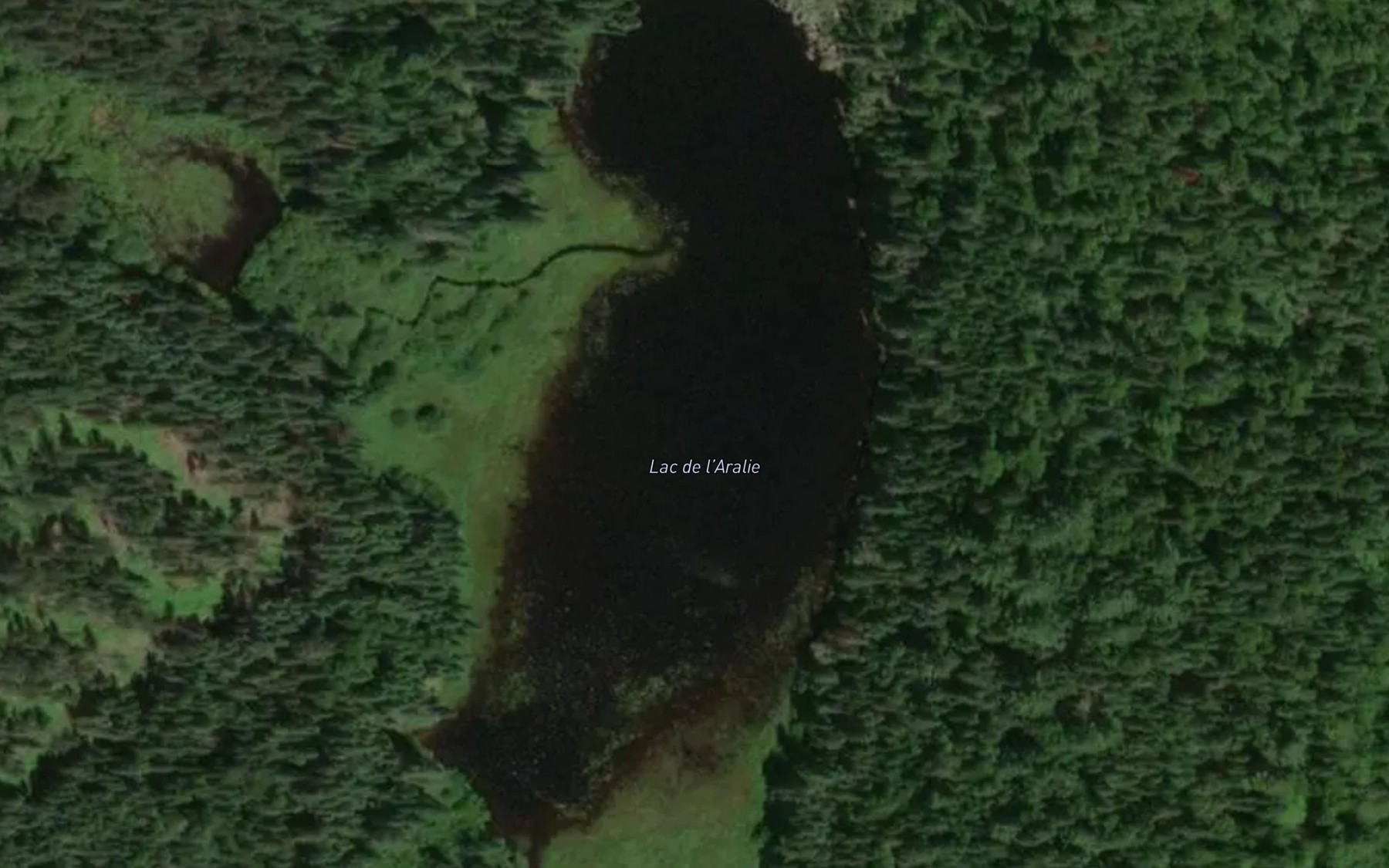 Satellite map of the Lac de l'Aralie