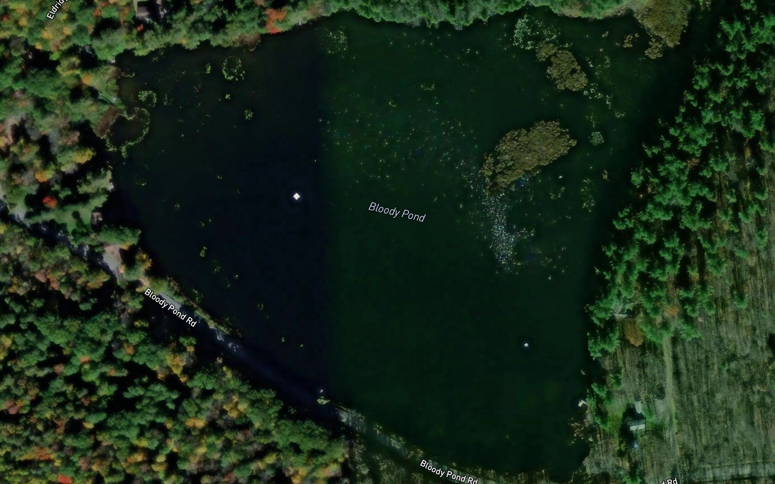 Bloody Pond