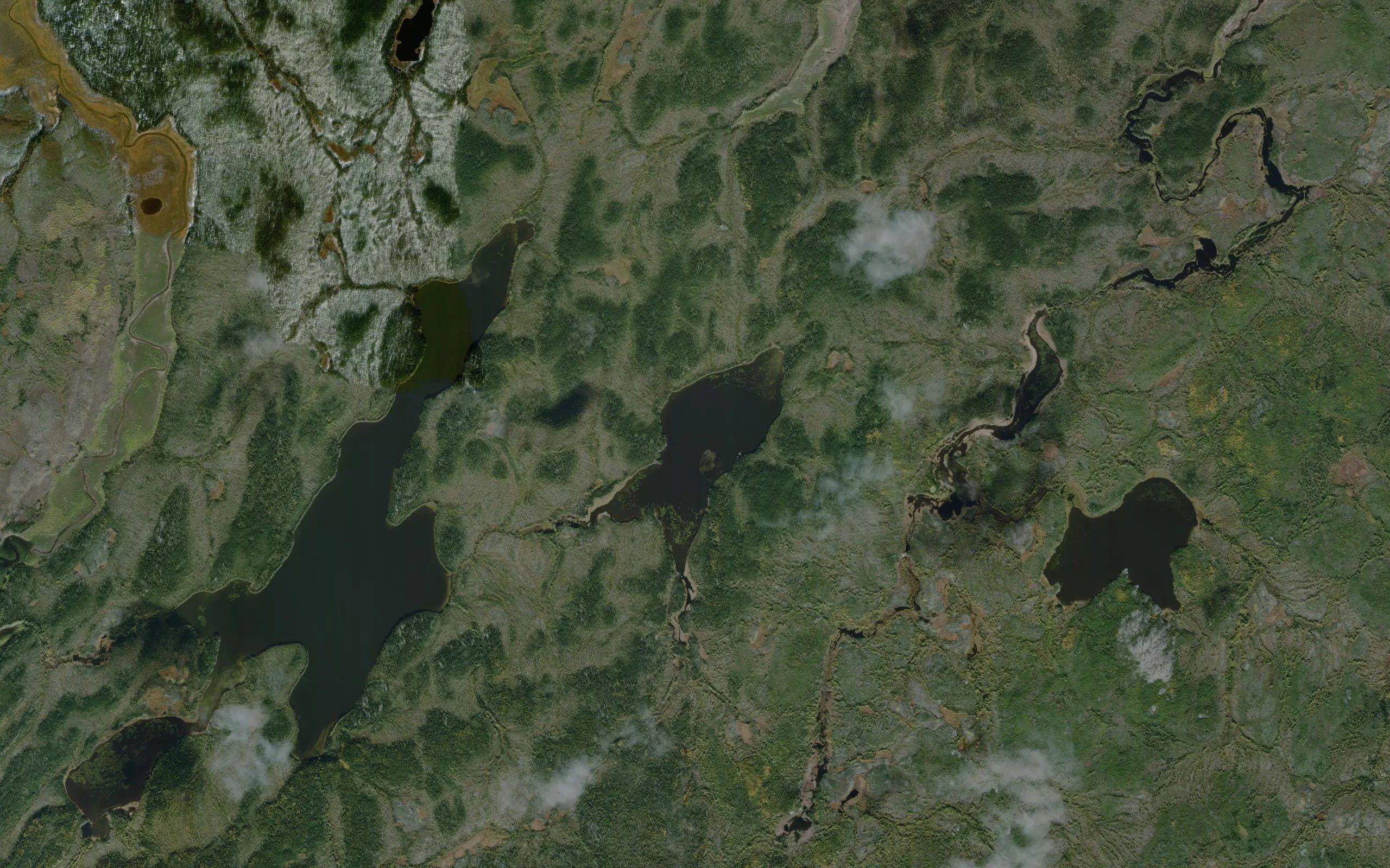 Oli Lake