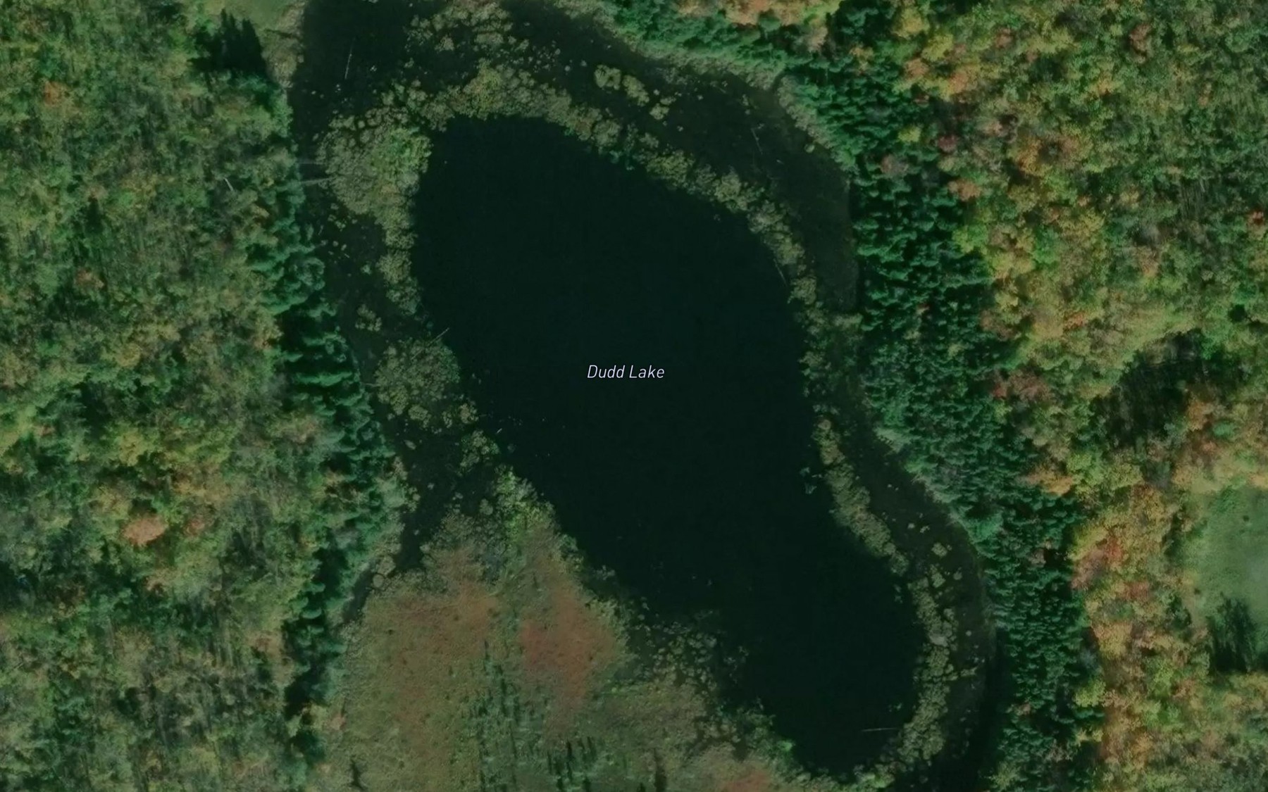Satellite map of the Dudd Lake